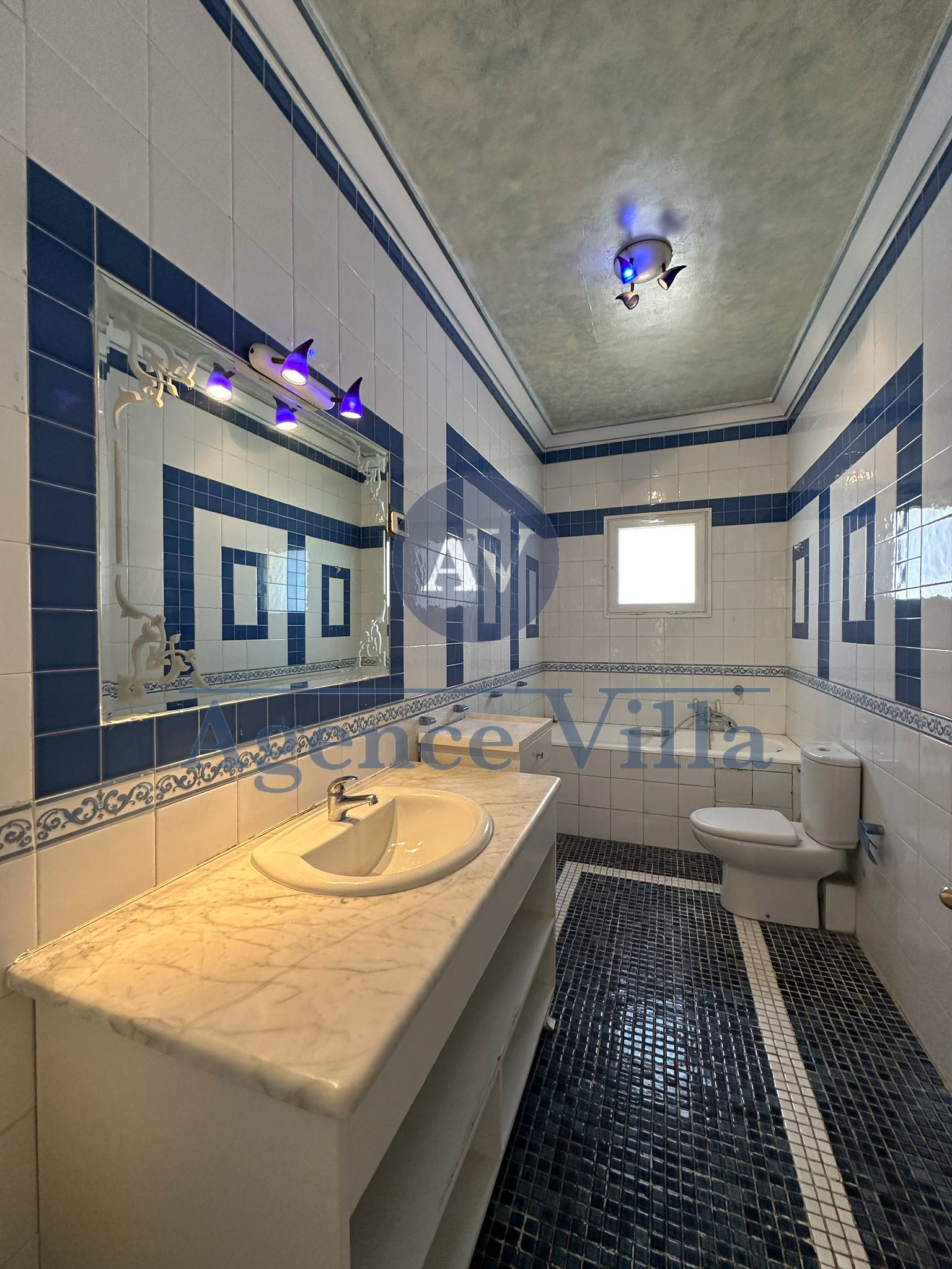 Carthage Carthage Location Maisons Une villa s7  carthage vue mer avec piscine