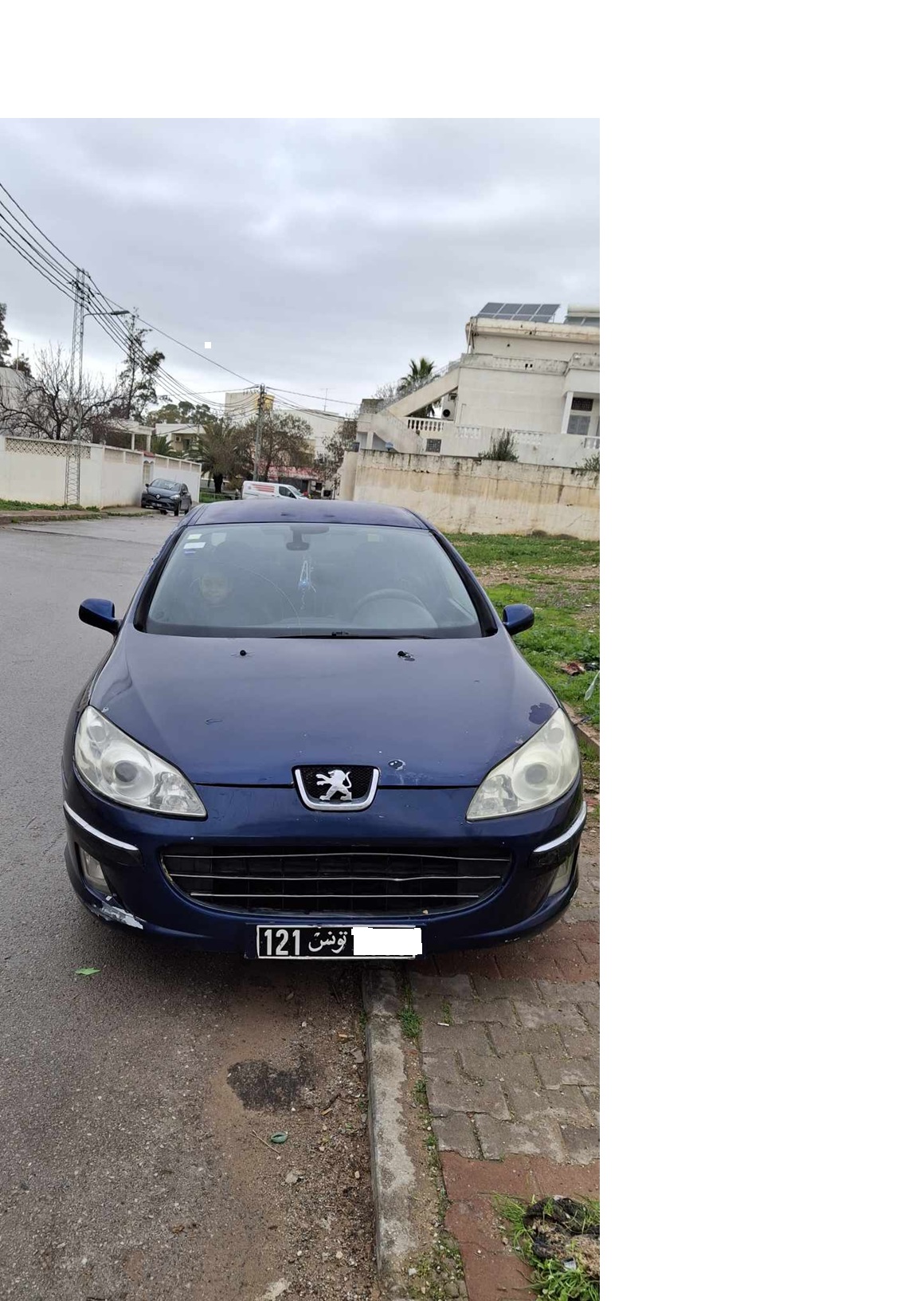 Le Bardo Le Bardo Peugeot 407 Peugeot 407