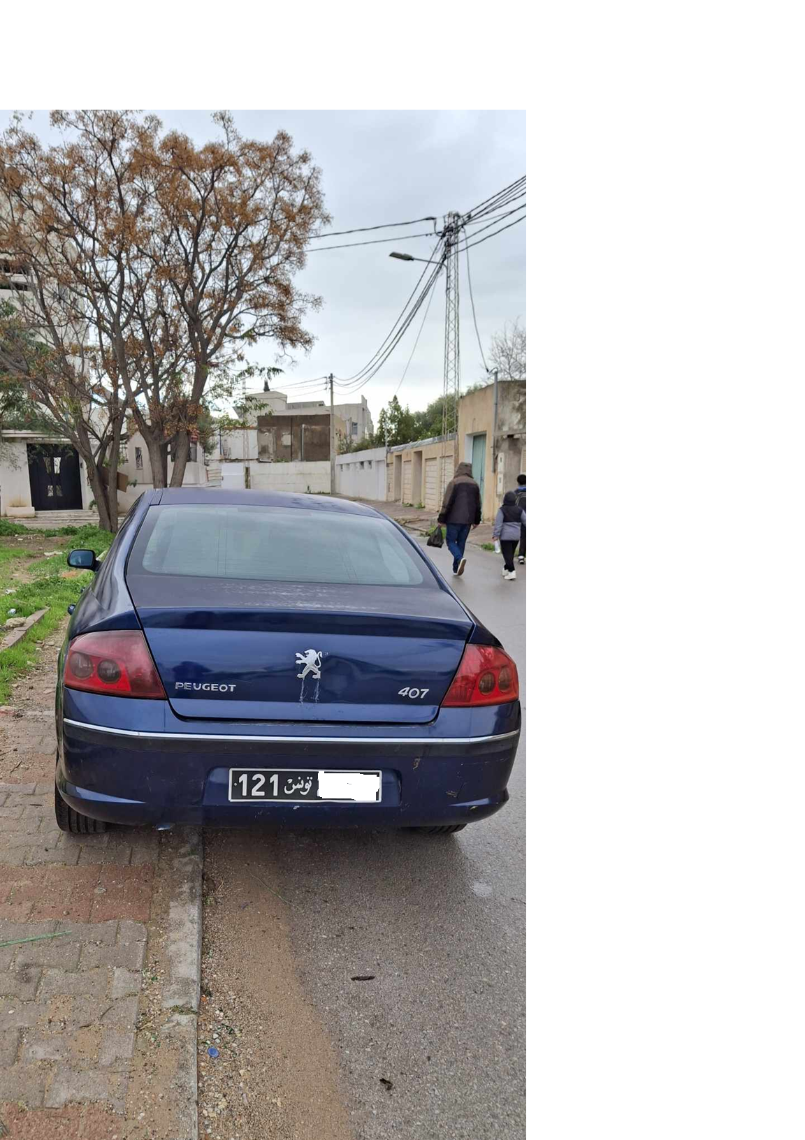 Le Bardo Le Bardo Peugeot 407 Peugeot 407