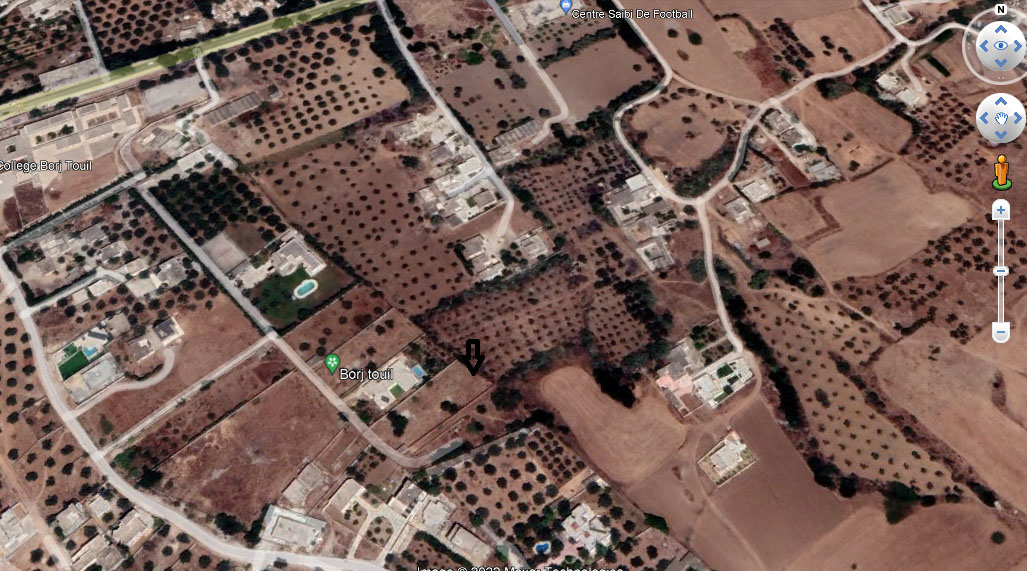Raoued Borj Touil Terrain Terrain nu Trs bonne opportunit de terrain