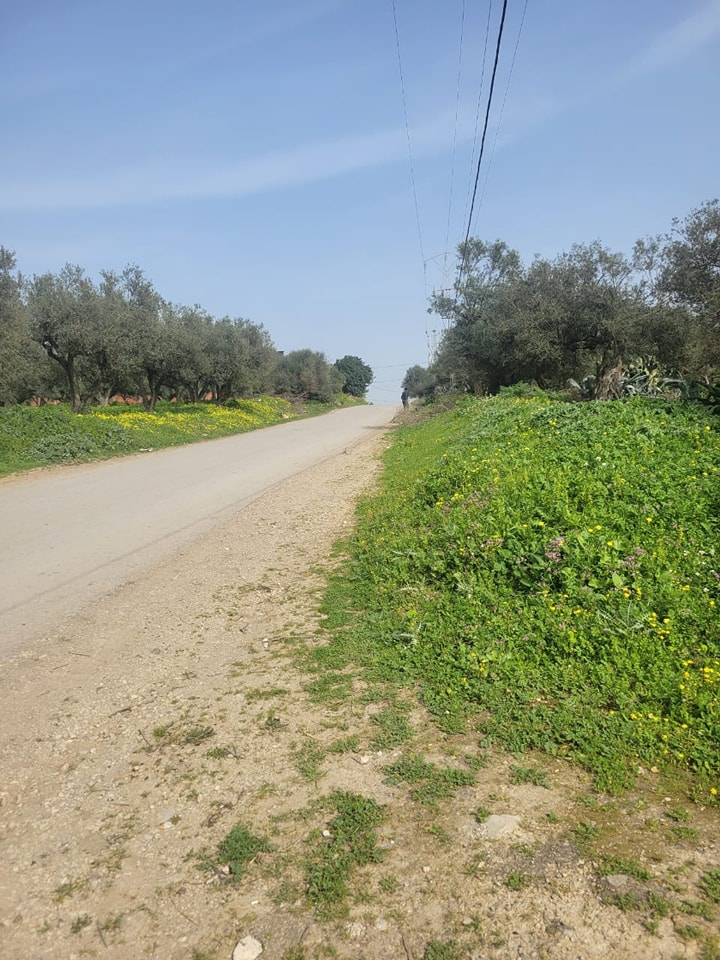 Bizerte Sud Bizerte Hached Terrain Terrain nu Terrain sur la route principale