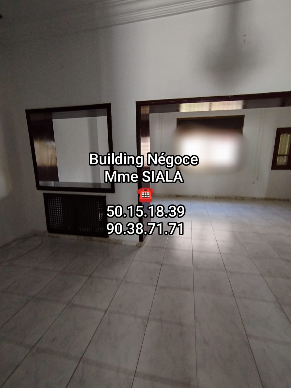 La Soukra Borj Louzir Location Maisons Borj louzir spacieux rdc villa avec jardin