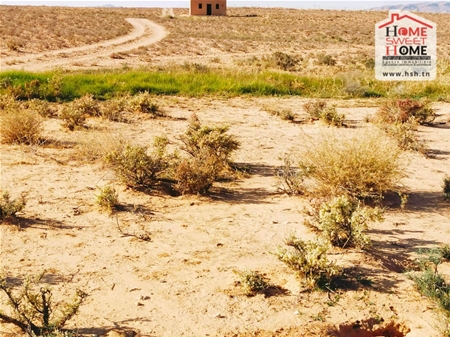 Sidi Aich Sidi Aich Terrain Terrain agricole Terrain agricole tiba  sidi aich
