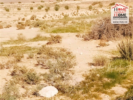 Sidi Aich Sidi Aich Terrain Terrain agricole Terrain agricole tiba  sidi aich