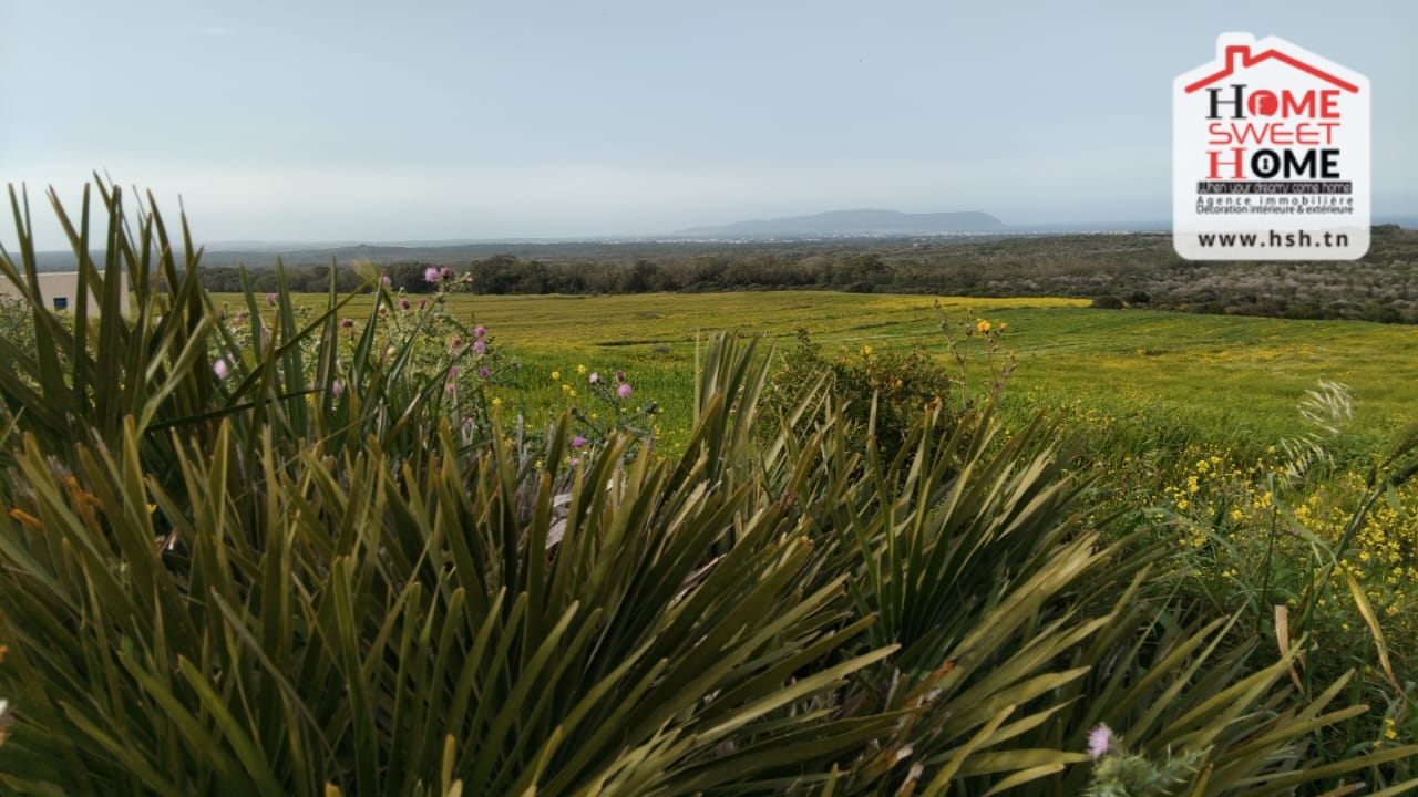 Hammam El Ghezaz Hammam El Ghezaz Terrain Terrain agricole Terrain agricole chema  hammem ghzez