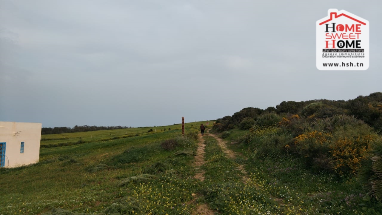 Hammam El Ghezaz Hammam El Ghezaz Terrain Terrain agricole Terrain agricole chema  hammem ghzez