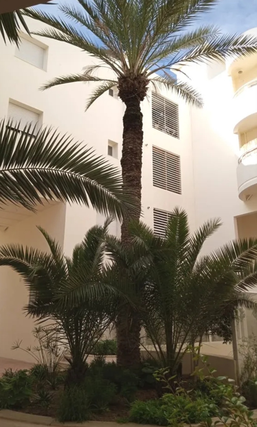 Ain Zaghouan Ain Zaghouan Location Appart. 3 pices S2 cote carrefour la marsa