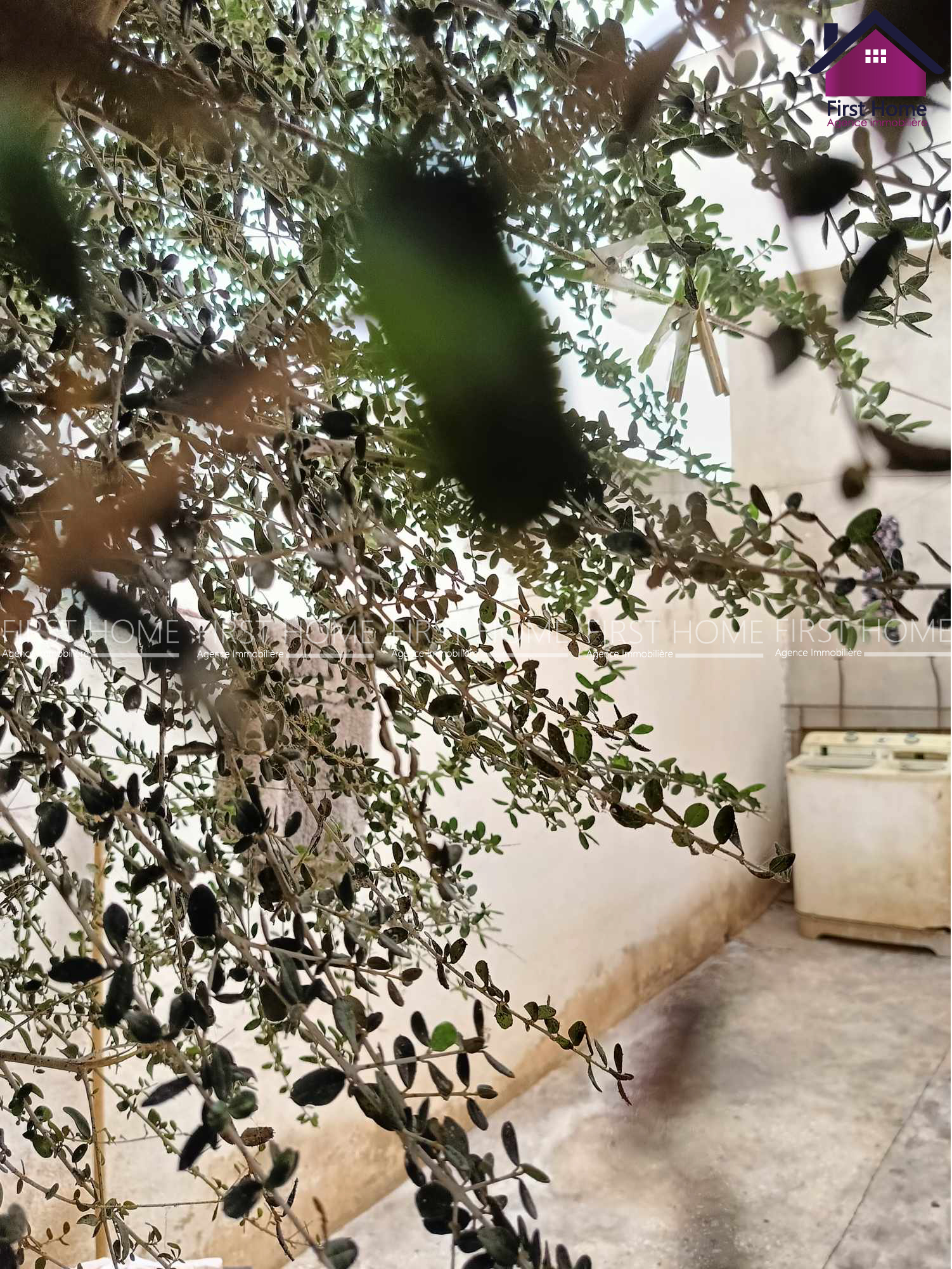 Sidi Hassine Sidi Hassine Vente Maisons Une maison  sidi hssin sijoumi