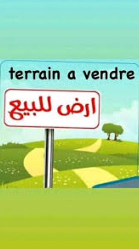Sfax Sud El Khazzanette Terrain Terrain agricole Terrain intressant
