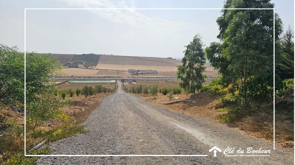 Sidi Thabet Chorfech 2 Terrain Terrain agricole Ferme  sidi thabet