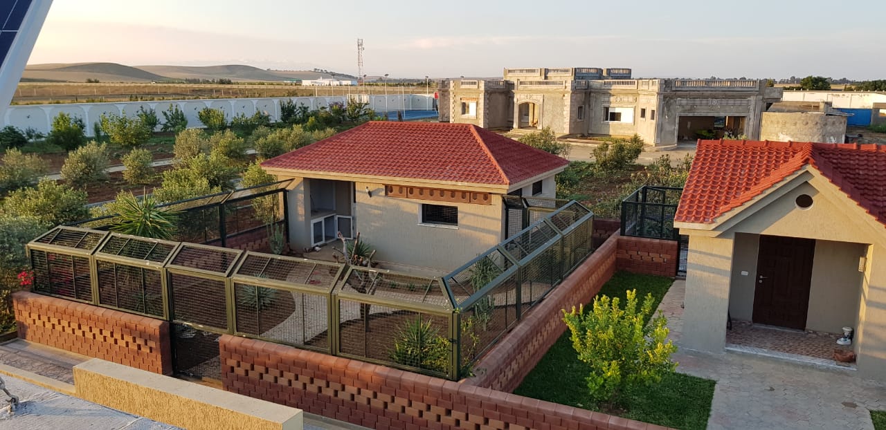 Sidi Thabet Chorfech 2 Terrain Terrain agricole Superbe ferme  sidi thabet