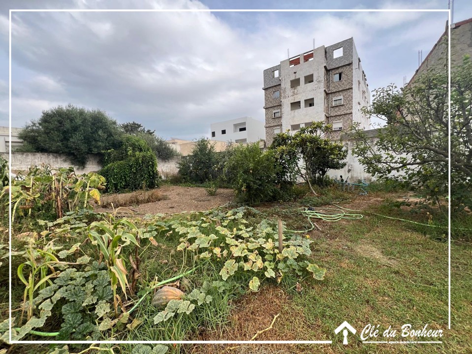 La Marsa Cite Bhar Lazreg Terrain Terrain nu Terrain avec studio  bhar lazrak