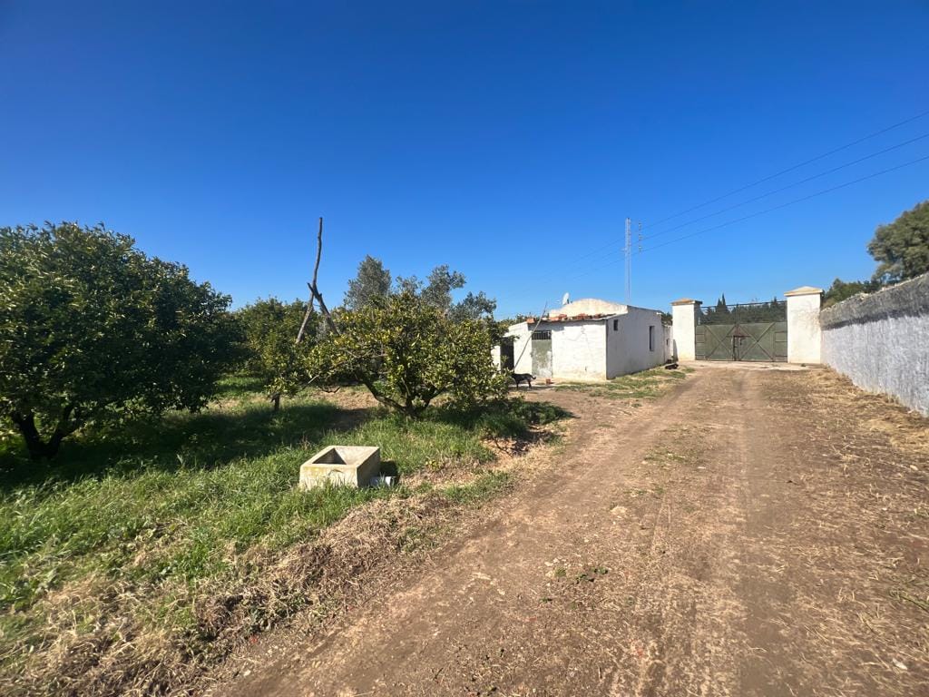 Soliman Cherifate Terrain Terrain agricole Ferme en pleine activit  soliman