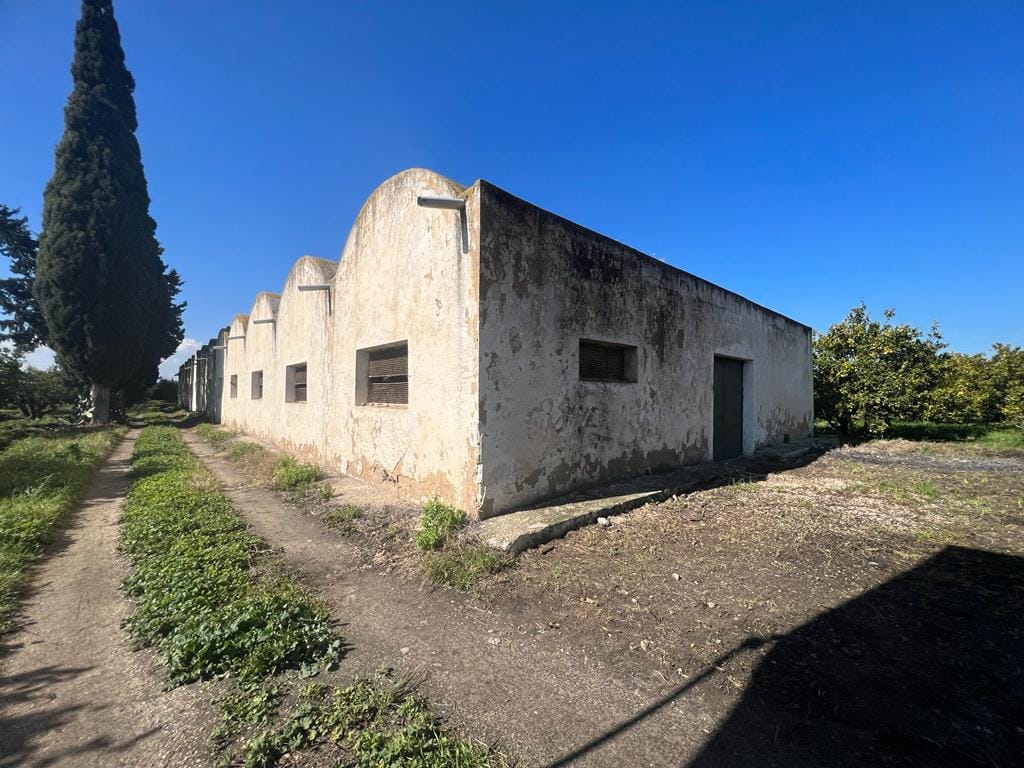 Soliman Cherifate Terrain Terrain agricole Ferme en pleine activit  soliman