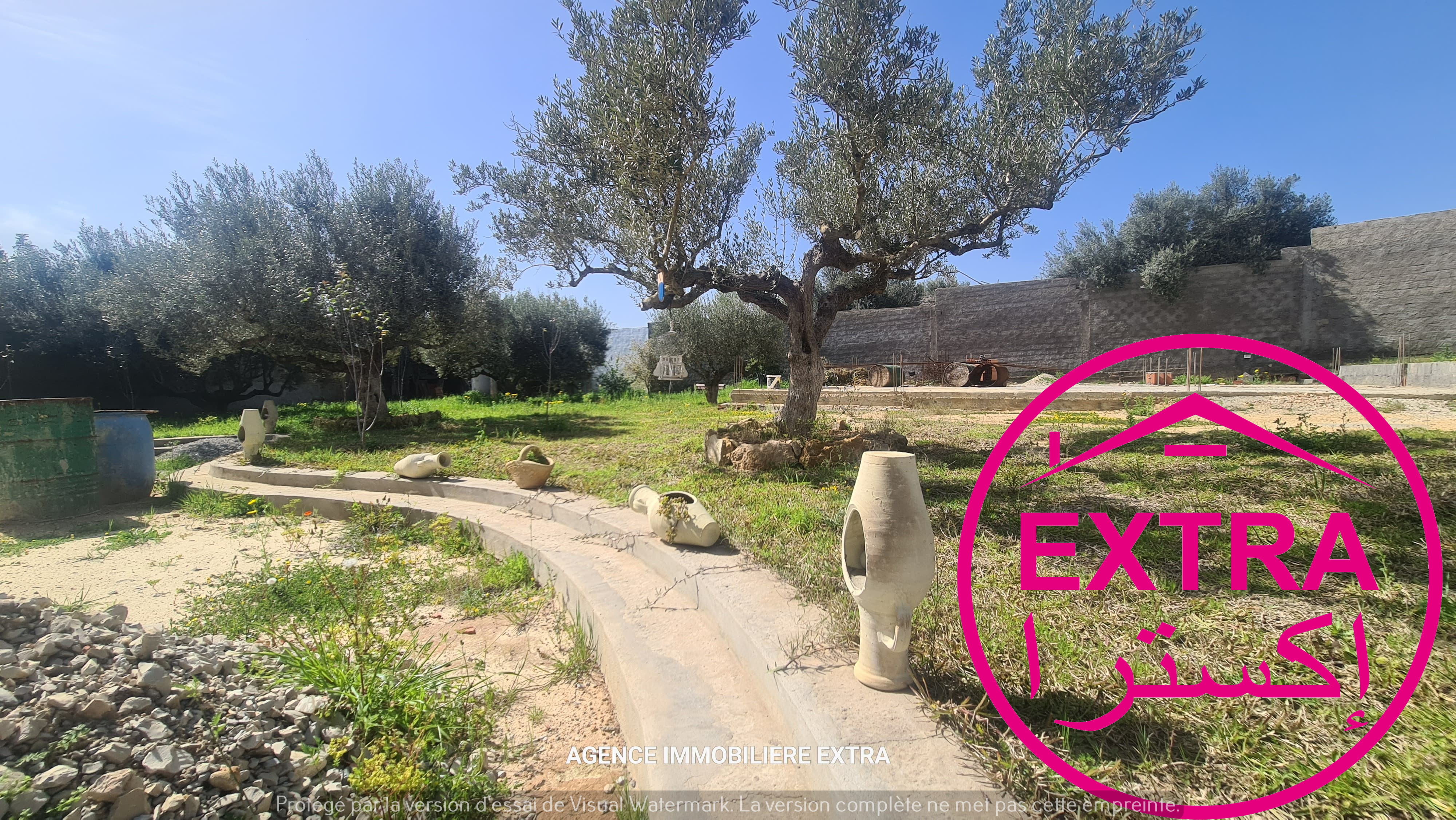 Beni Khiar Somaa Terrain Terrain agricole Campagne a somaa