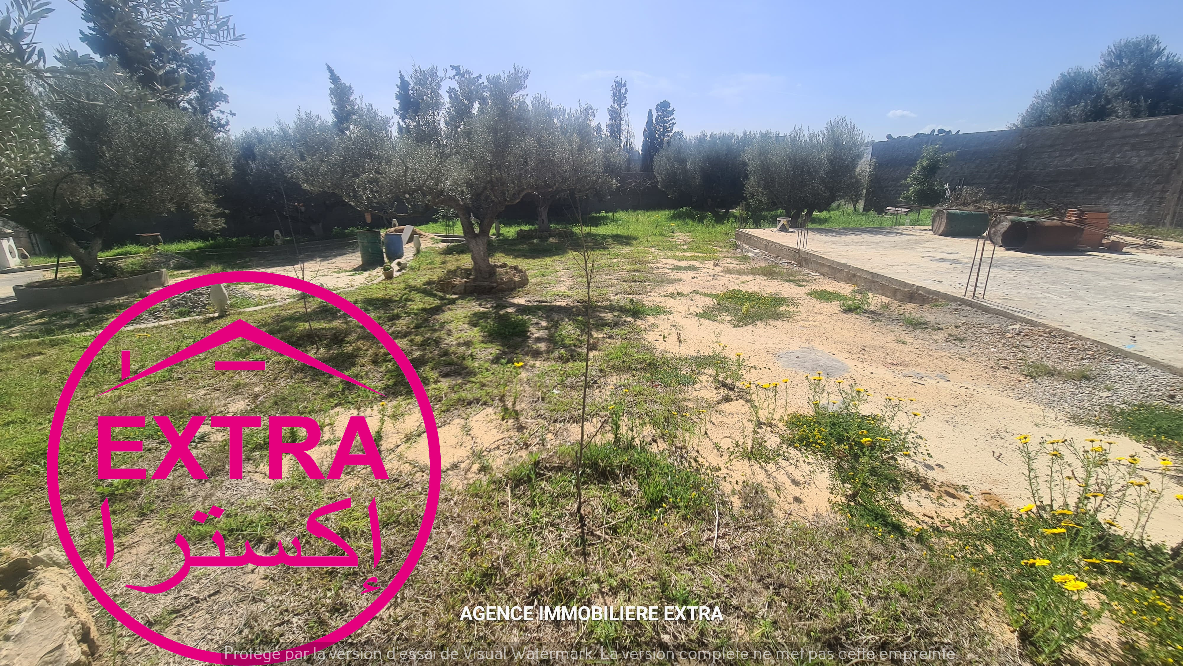 Beni Khiar Somaa Terrain Terrain agricole Campagne a somaa
