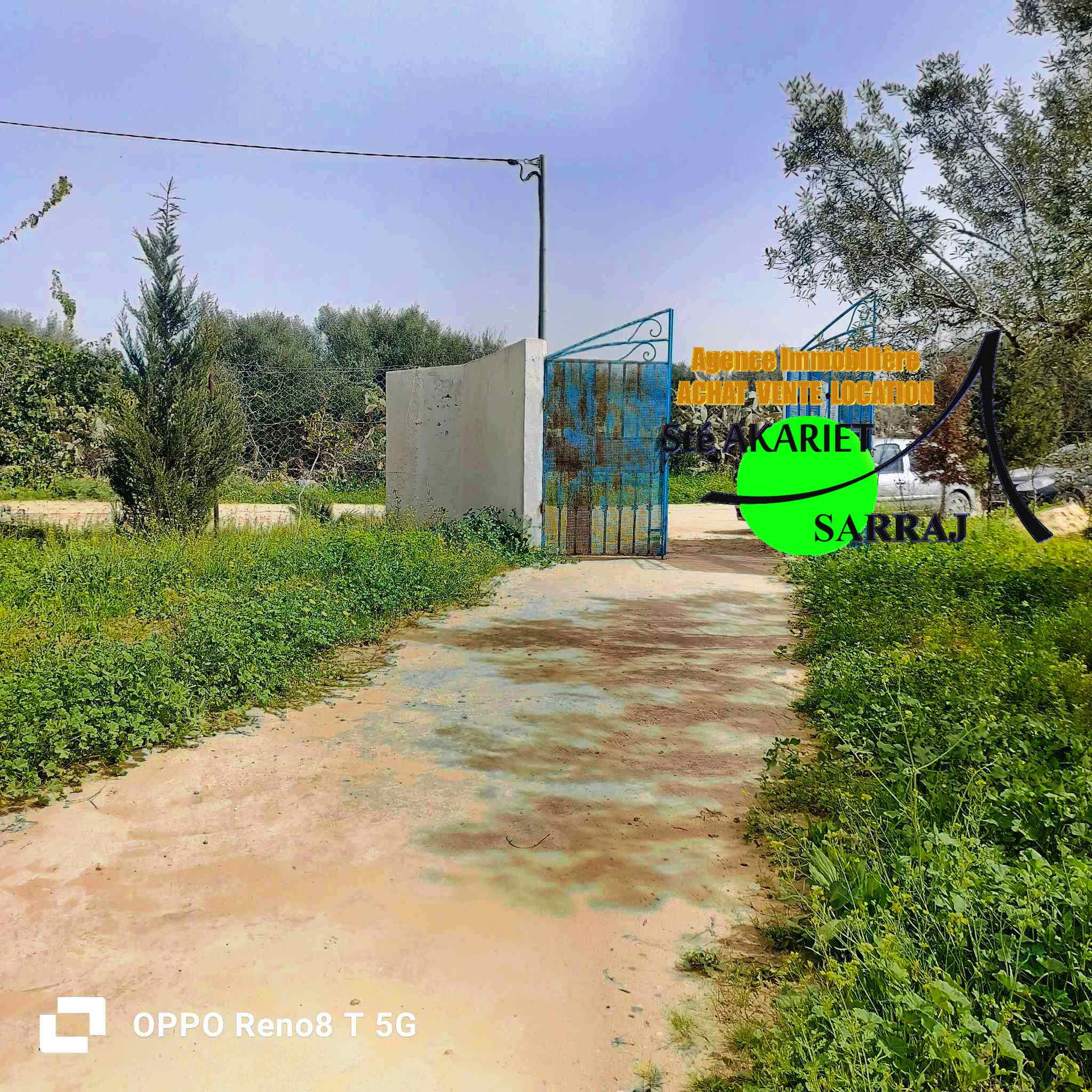Sidi Bou Ali Sidi Bou Ali Terrain Terrain agricole Senia 3000m prs de dar zitouna  sidi bouali