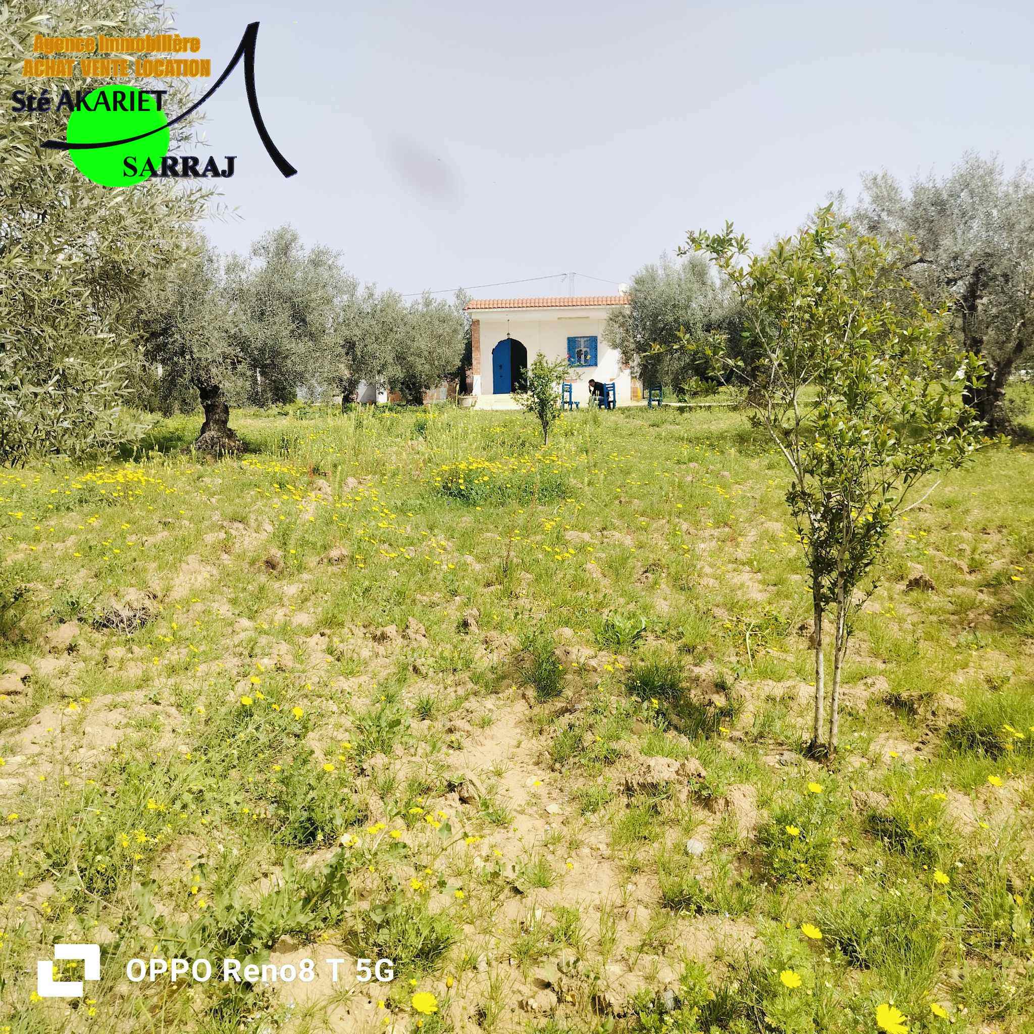 Sidi Bou Ali Sidi Bou Ali Terrain Terrain agricole Senia 3000m prs de dar zitouna  sidi bouali