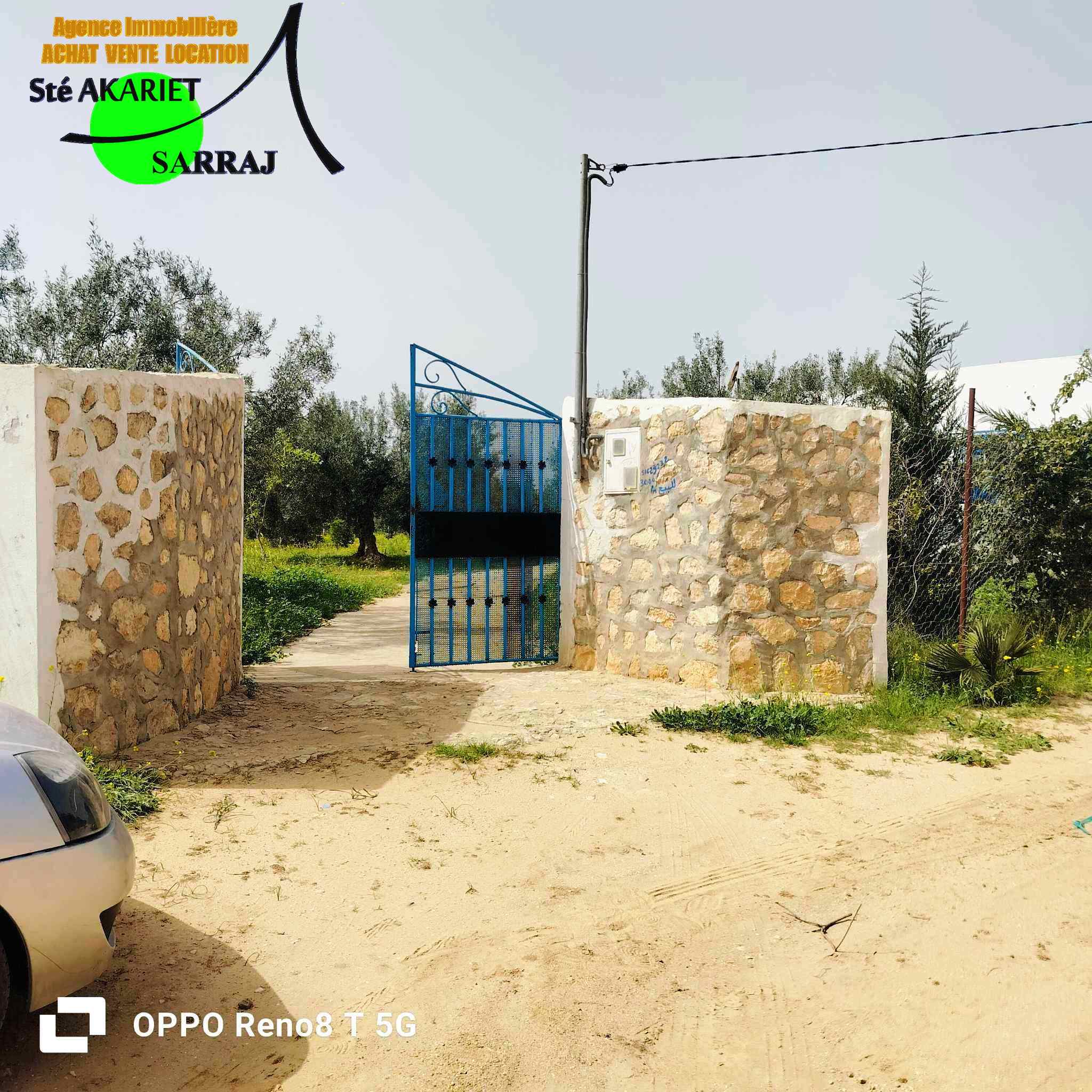Sidi Bou Ali Sidi Bou Ali Terrain Terrain agricole Senia 3000m prs de dar zitouna  sidi bouali