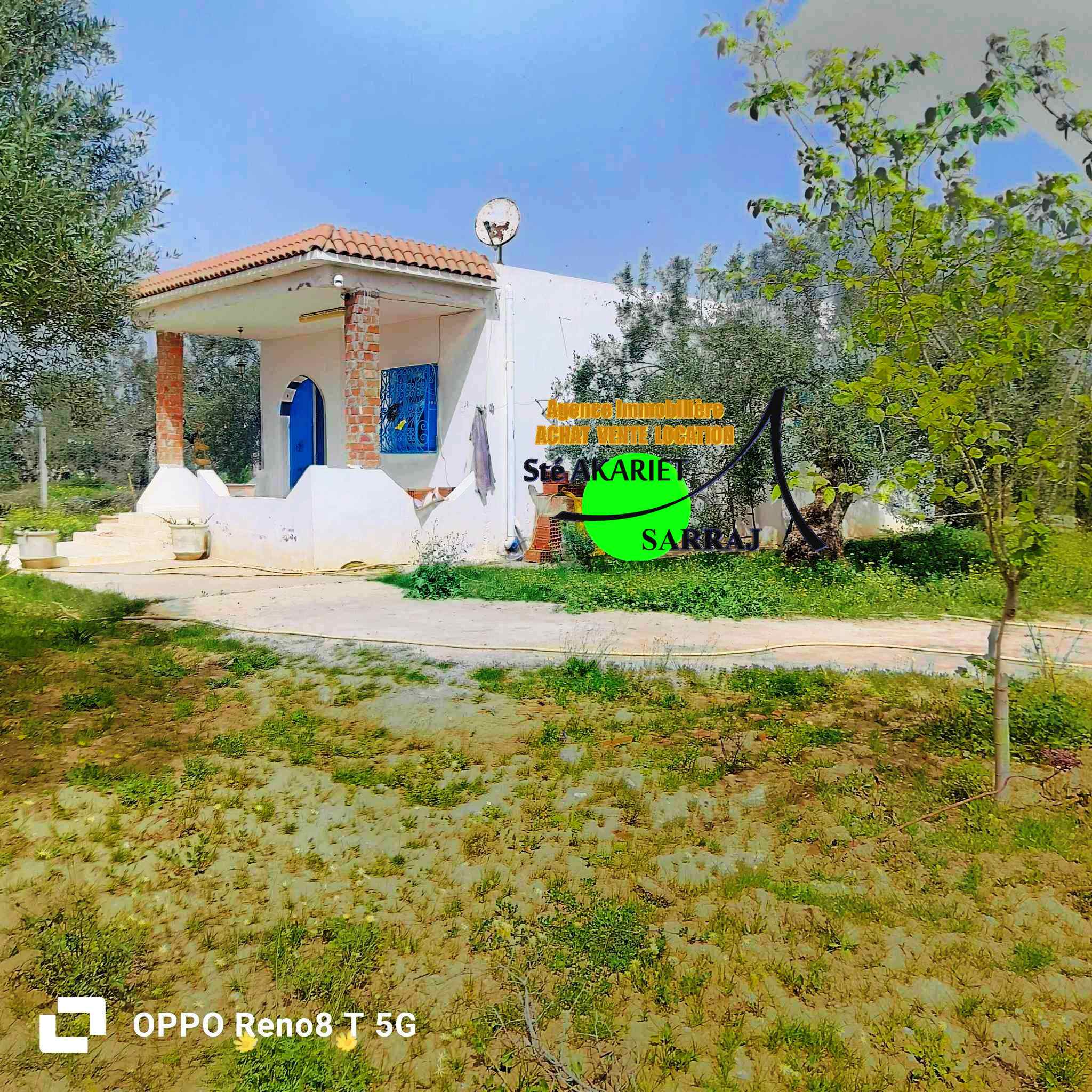 Sidi Bou Ali Sidi Bou Ali Terrain Terrain agricole Senia 3000m prs de dar zitouna  sidi bouali