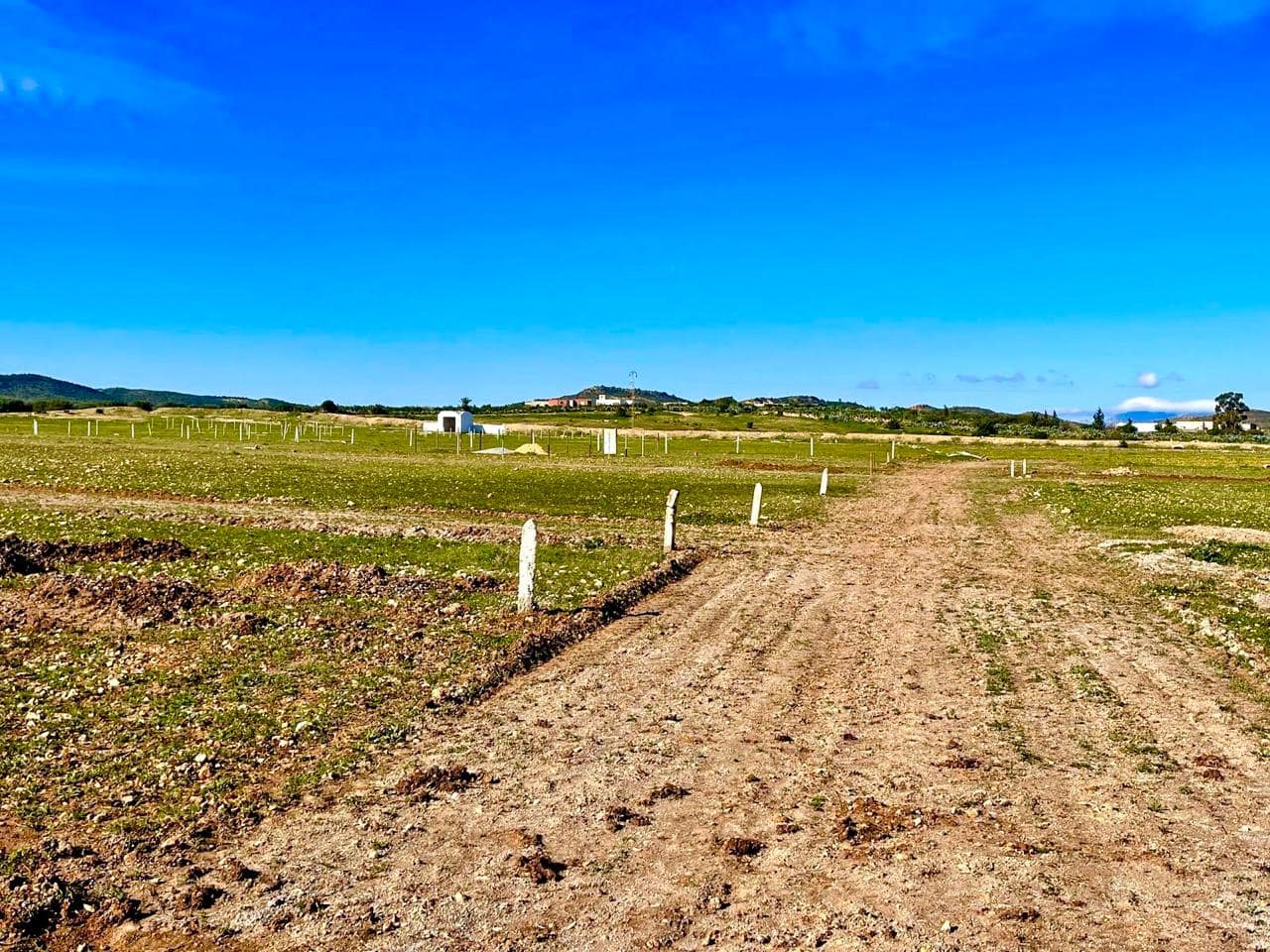Bou Ficha Bou Ficha Terrain Terrain nu Terrain de 150m2 est titr