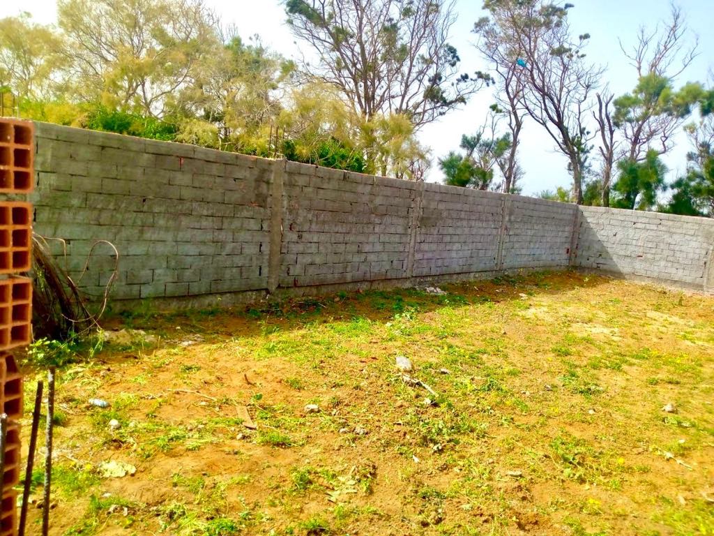 Kelibia Kerkouane Terrain Terrain nu 200 mtre carr a kelibia pour investir