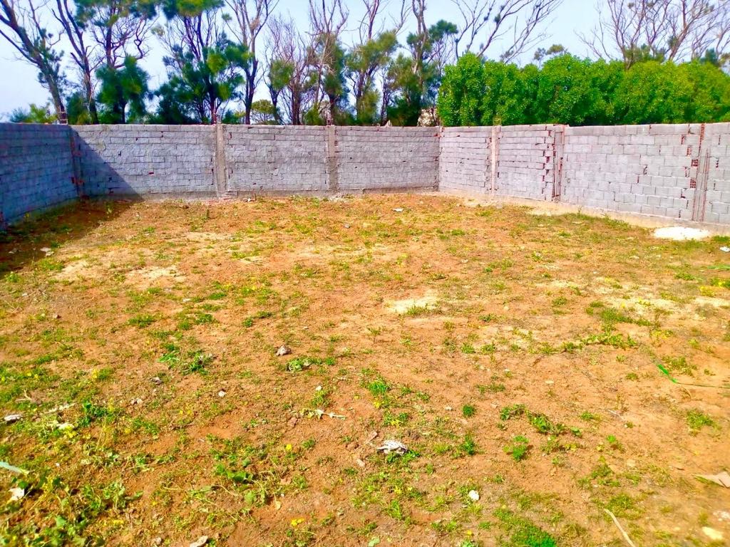 Kelibia Kerkouane Terrain Terrain nu 200 mtre carr a kelibia pour investir