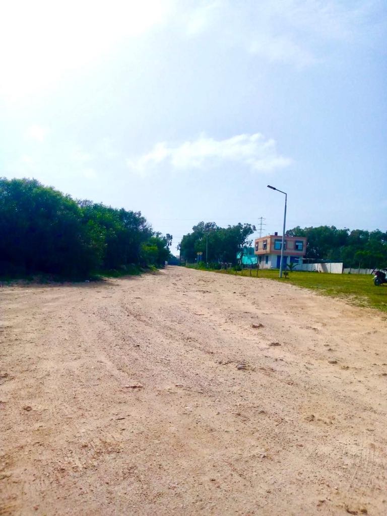 Kelibia Kerkouane Terrain Terrain nu 200 mtre carr a kelibia pour investir