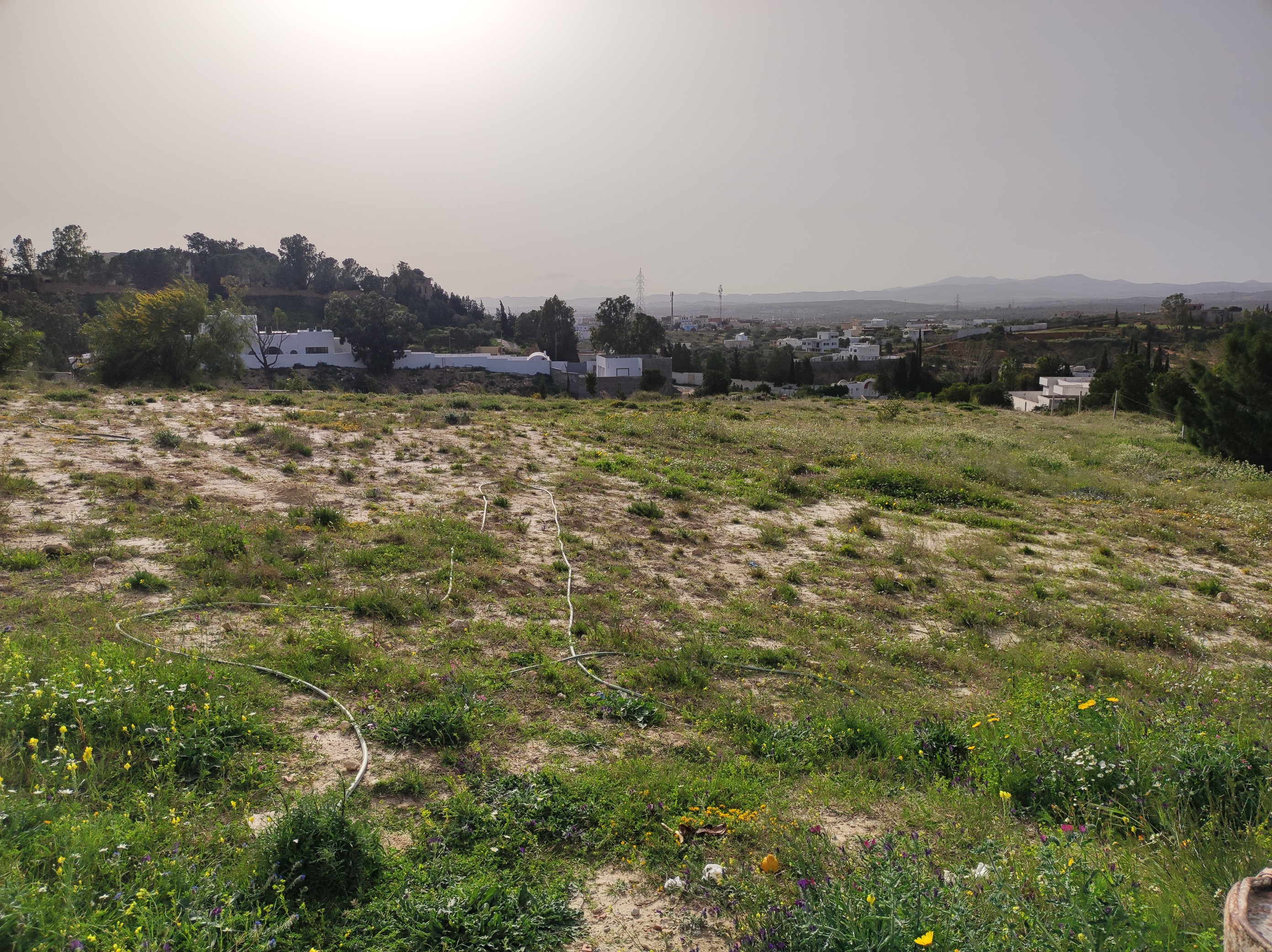 Hammamet Hammamet Terrain Terrain nu Lots zone craxi hammamet