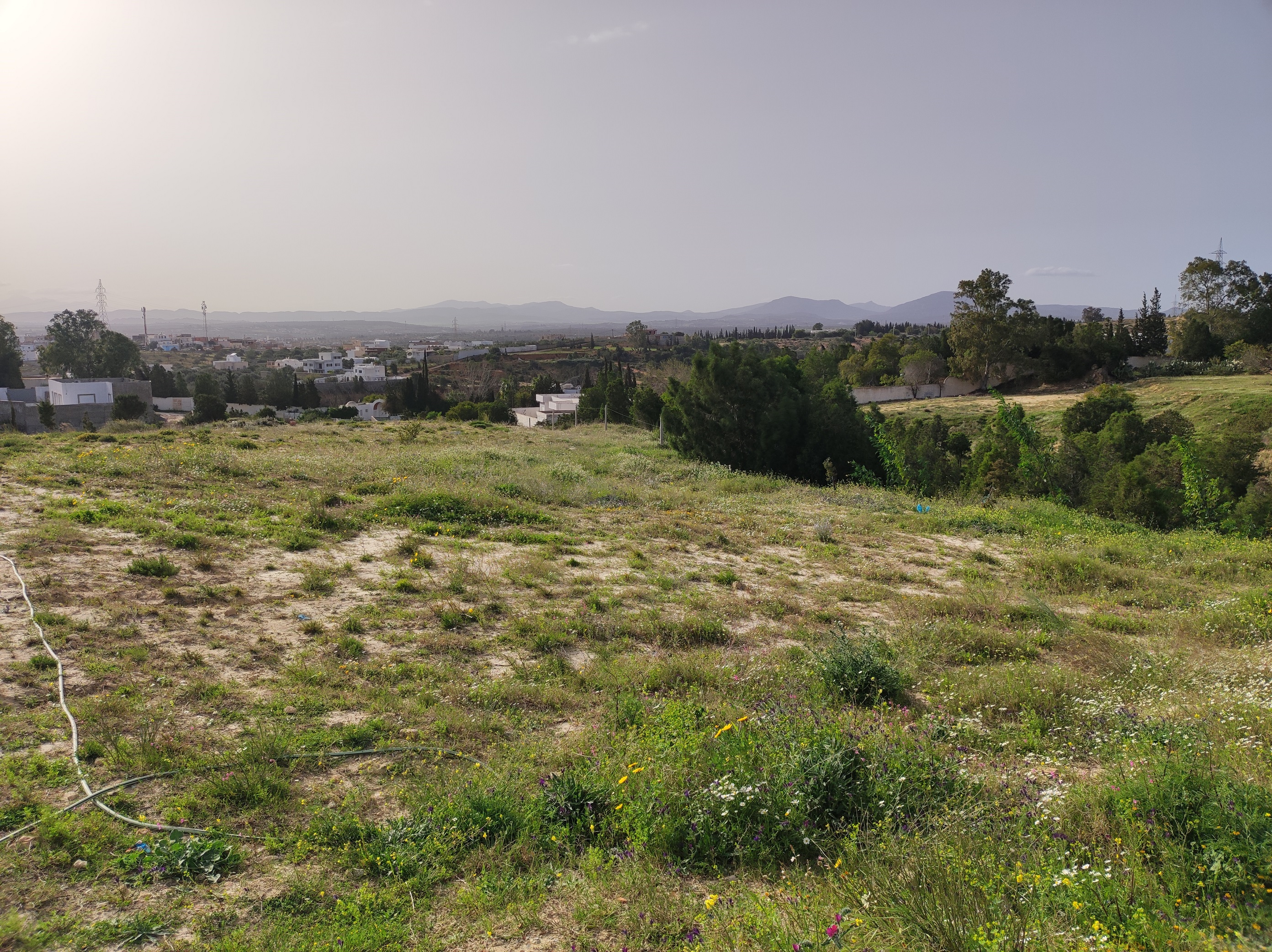 Hammamet Hammamet Terrain Terrain nu Lots zone craxi hammamet