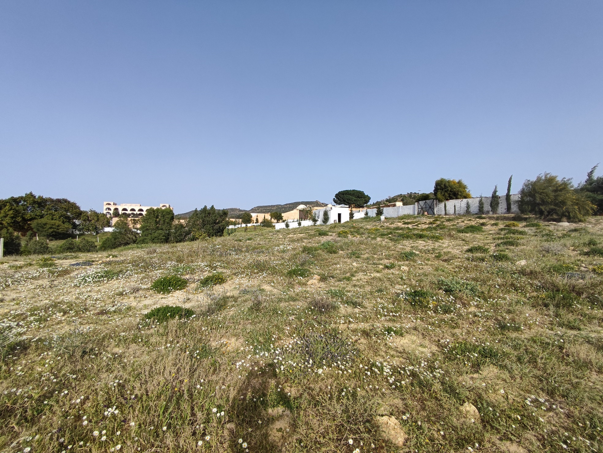 Hammamet Hammamet Terrain Terrain nu Lots zone craxi hammamet