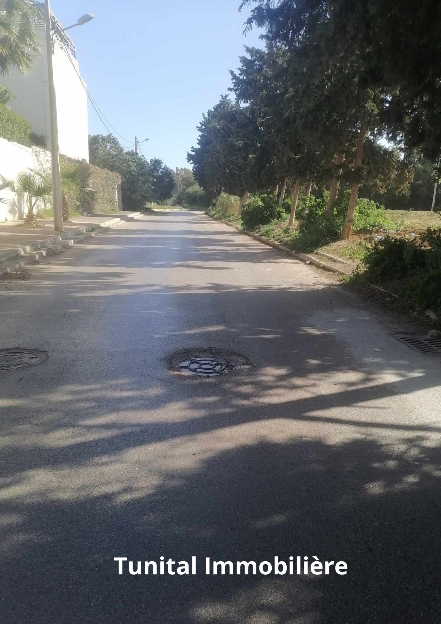 La Marsa Gammart Vente Autre Gammarth village terrain cltur bon emplacement