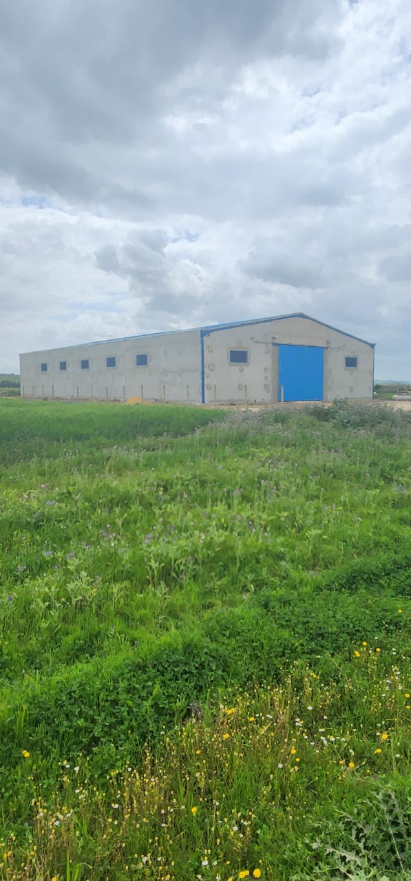 Mornaguia Mornaguia Location Autre Hangar neuf pour stockage