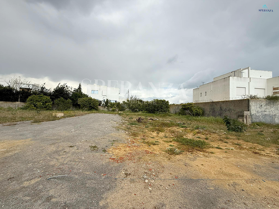 Hammamet Hammamet Vente Surfaces Terrain le petit vallon