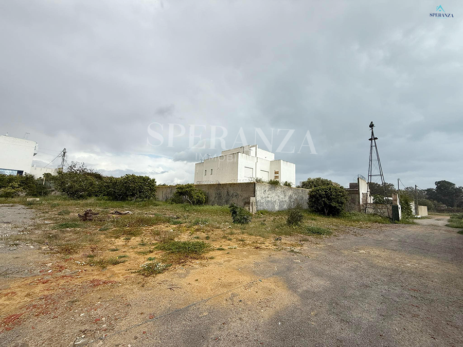 Hammamet Hammamet Vente Surfaces Terrain le petit vallon