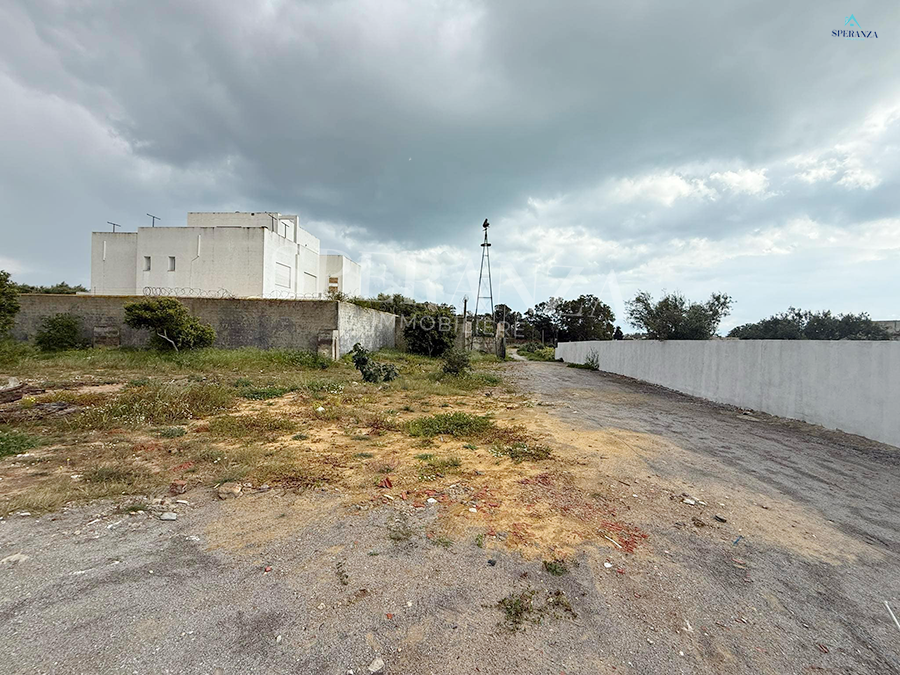 Hammamet Hammamet Vente Surfaces Terrain le petit vallon