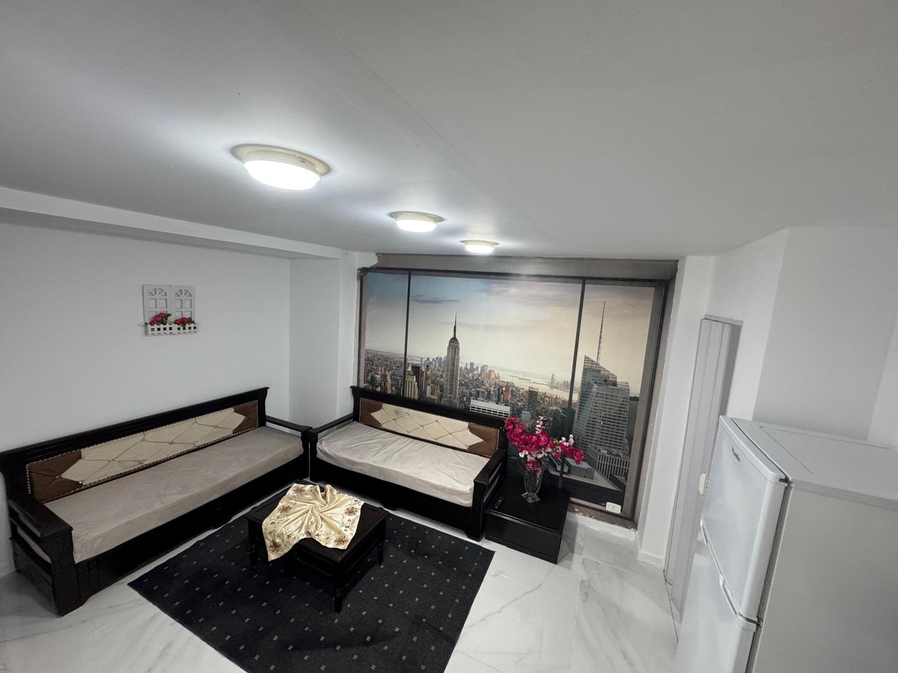 Ariana Ville El Menzah 5 Location Appart. 1 pice Un appartement  menzah 5