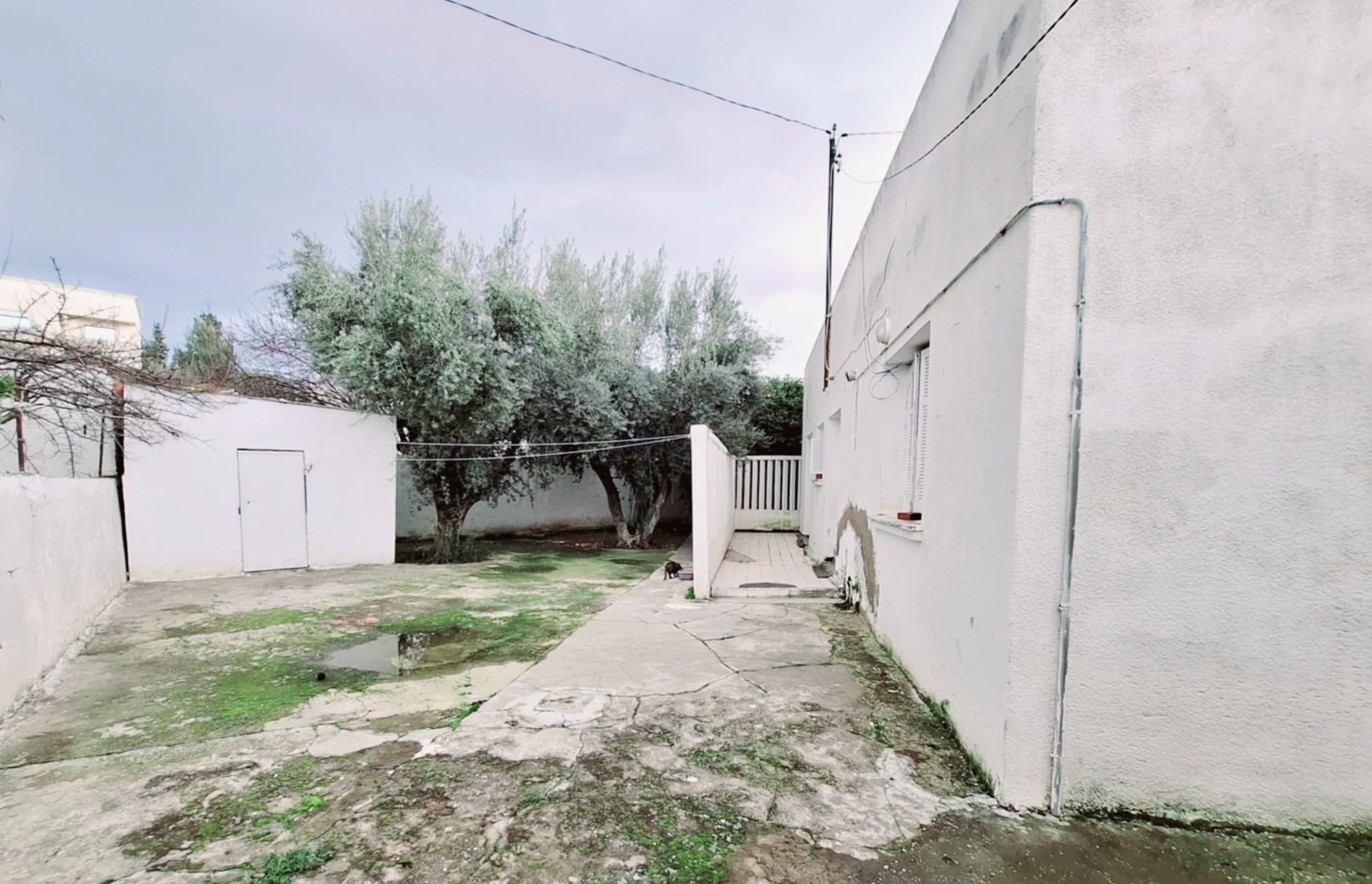 El Ouerdia El Ouerdia Vente Maisons 2 villas et un studio  el ouardia 1