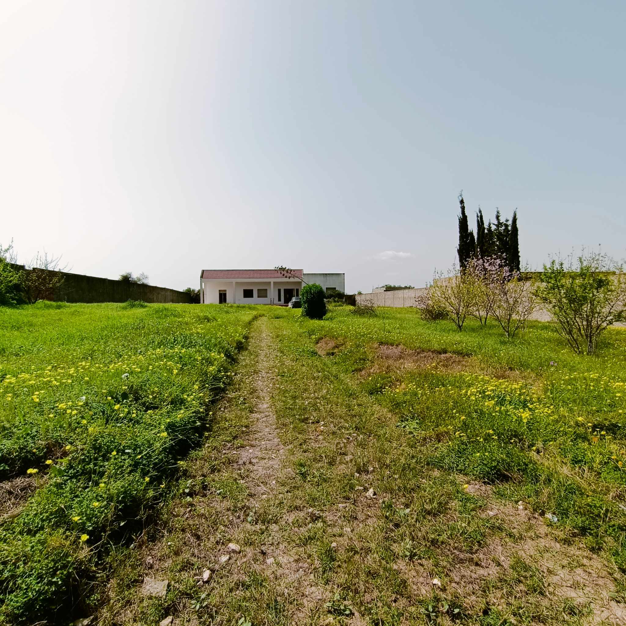 Sidi Thabet Bejaoua 2 Terrain Terrain agricole Terrain 3000m2 avec maison