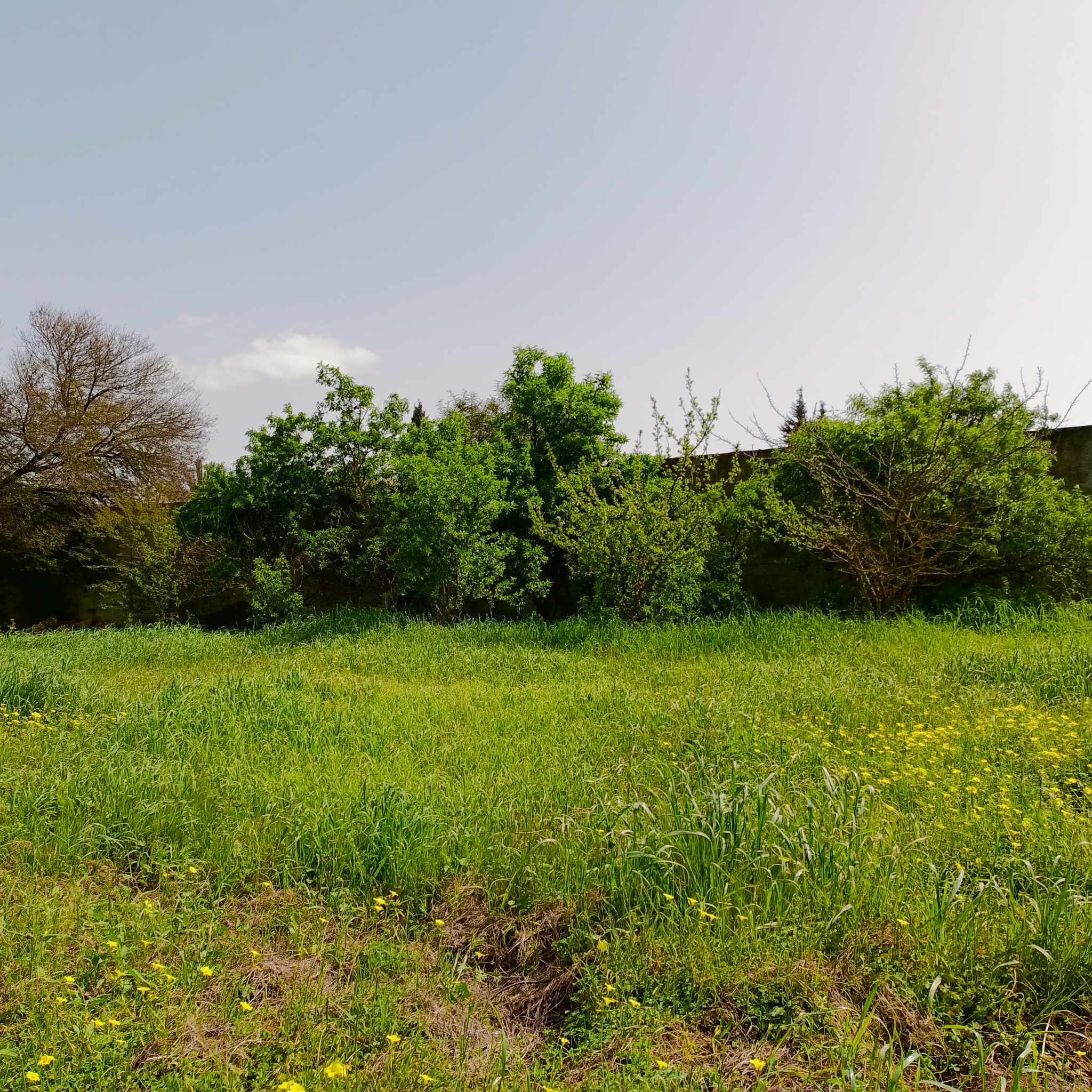 Sidi Thabet Bejaoua 2 Terrain Terrain agricole Terrain 3000m2 avec maison