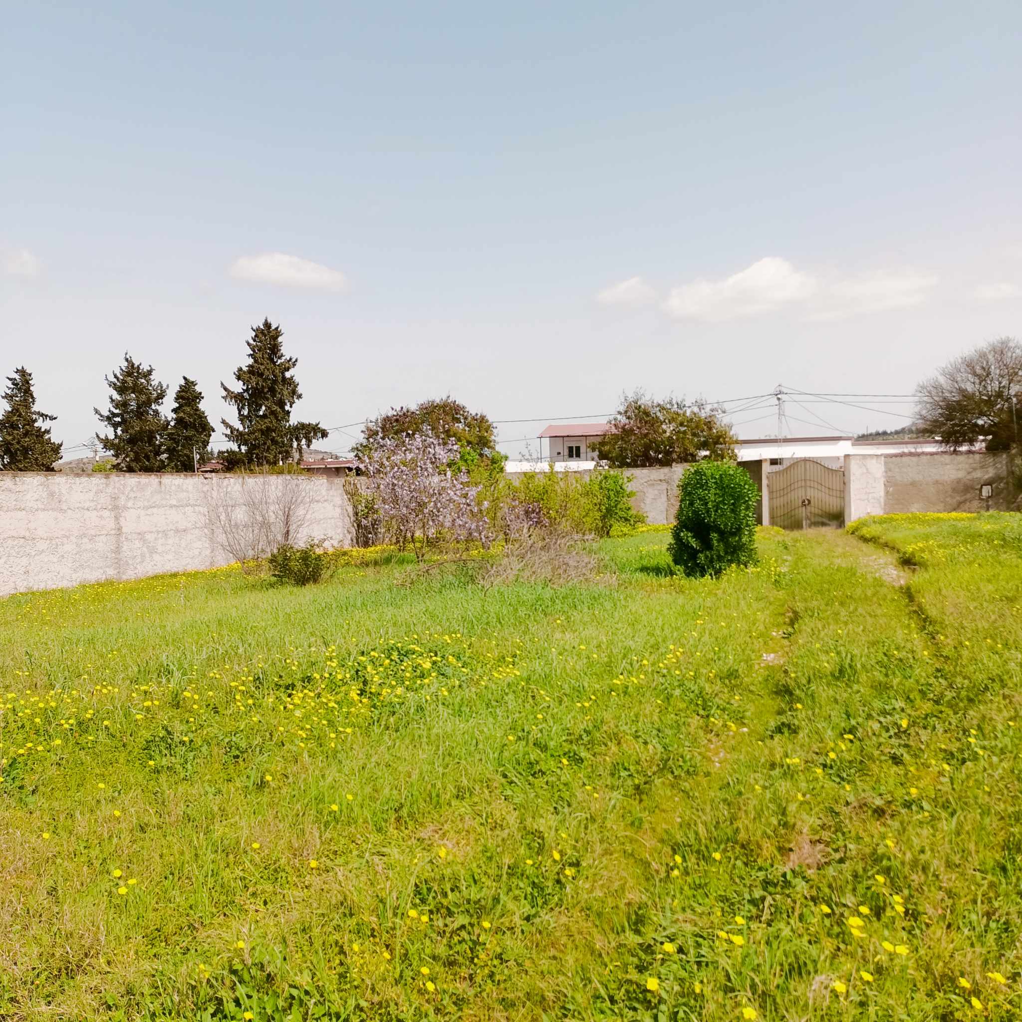 Sidi Thabet Bejaoua 2 Terrain Terrain agricole Terrain 3000m2 avec maison