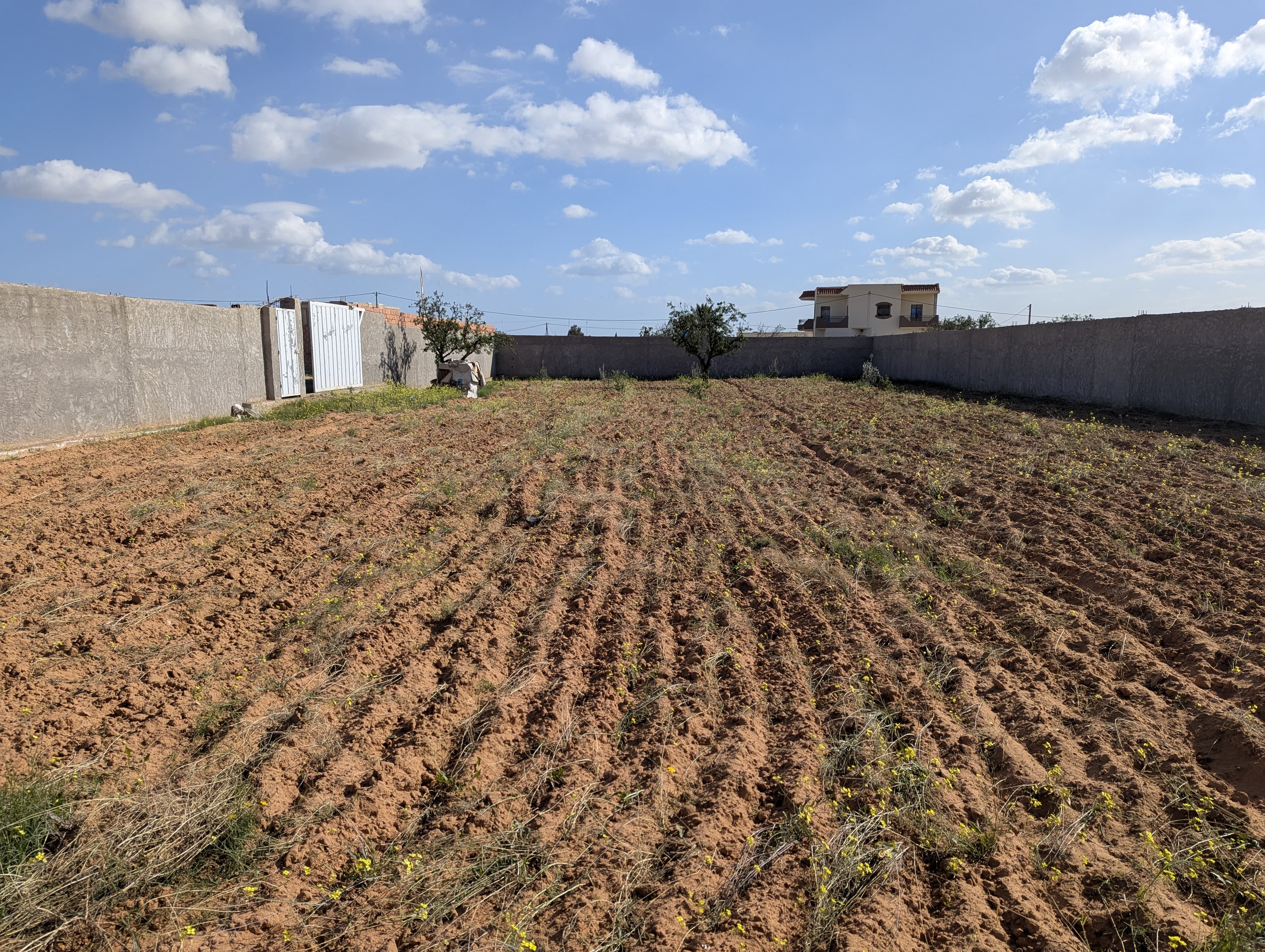 Sfax Sud El Ain Terrain Terrain nu Terrain nu