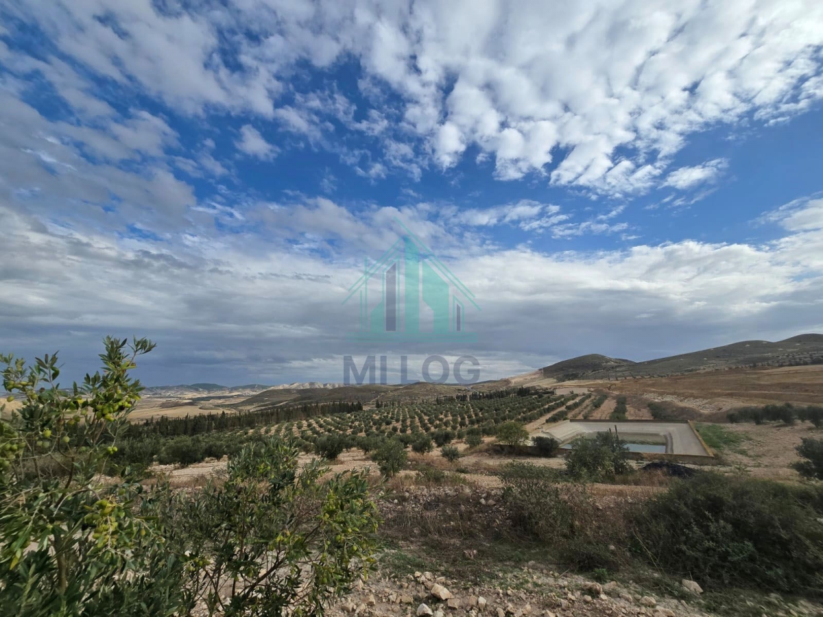 Zaghouan Zaghouan Terrain Terrain agricole Ferme de 18 hectares  zaghouan