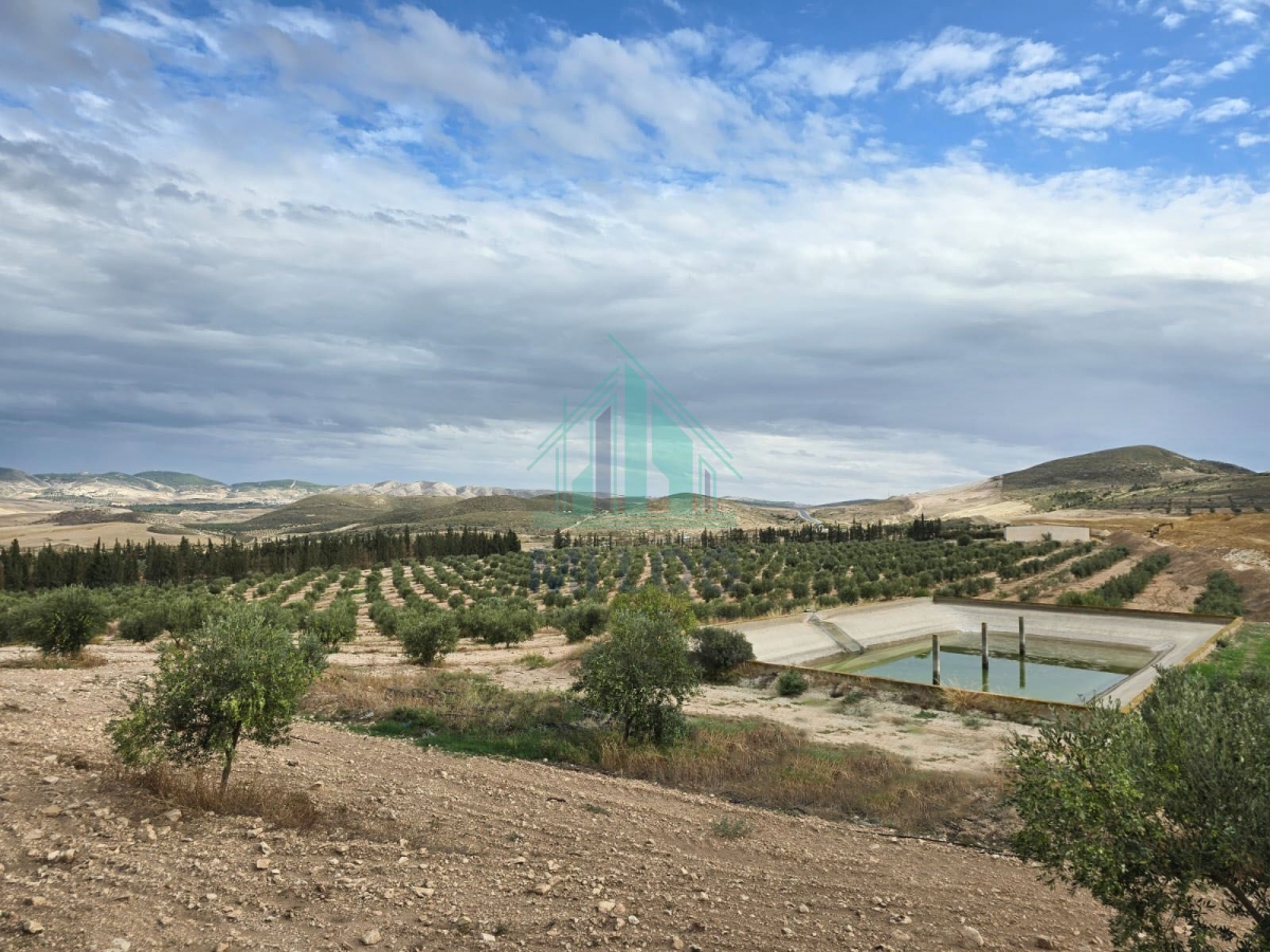 Zaghouan Zaghouan Terrain Terrain agricole Ferme de 18 hectares  zaghouan