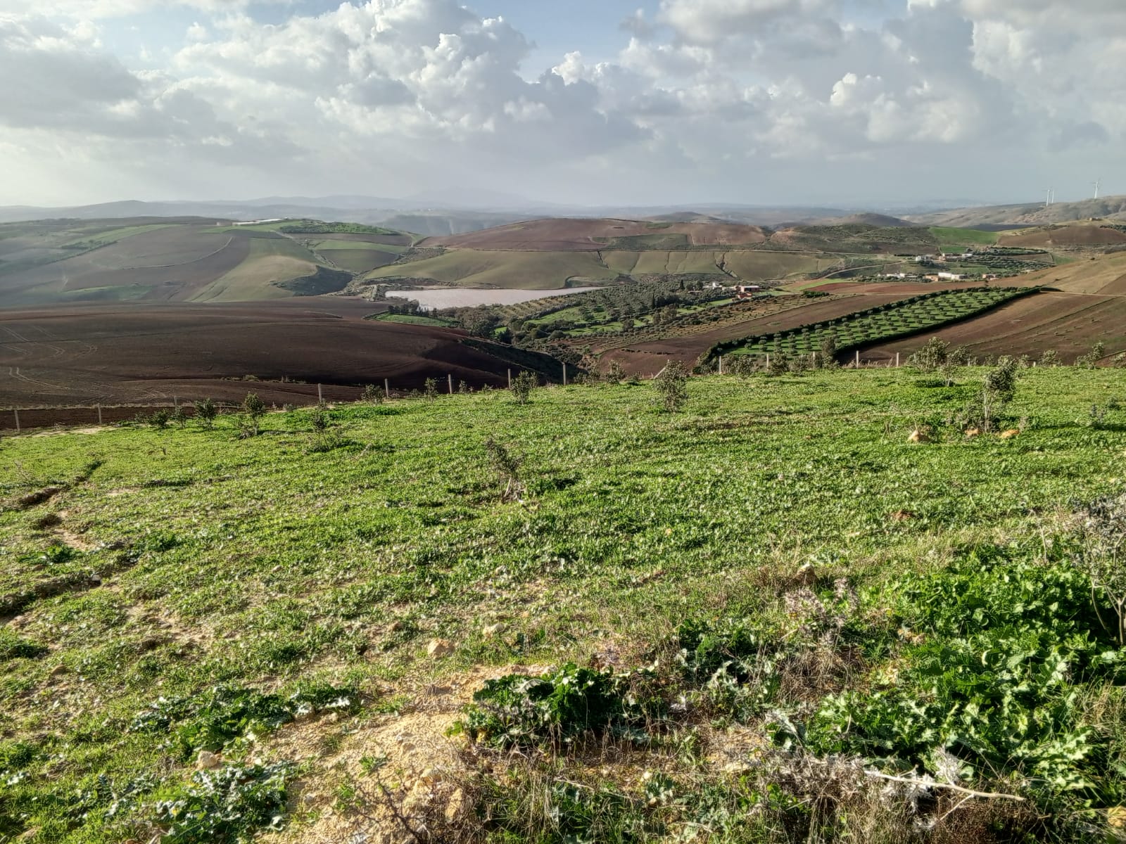 Utique El Besbassia Terrain Terrain agricole Terrain agricole  bizerte utique