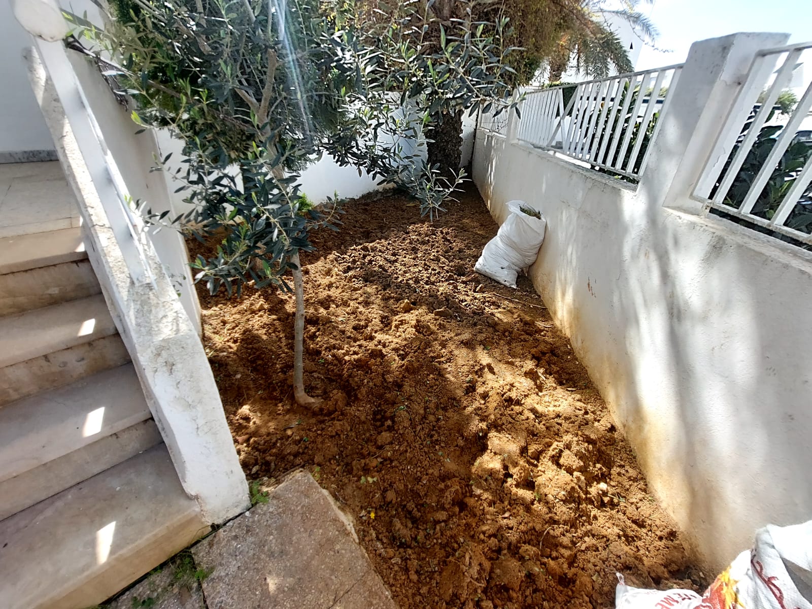 La Marsa Cite Erriadh Vente Appart. 2 pices S1 avec jardin  la marsa