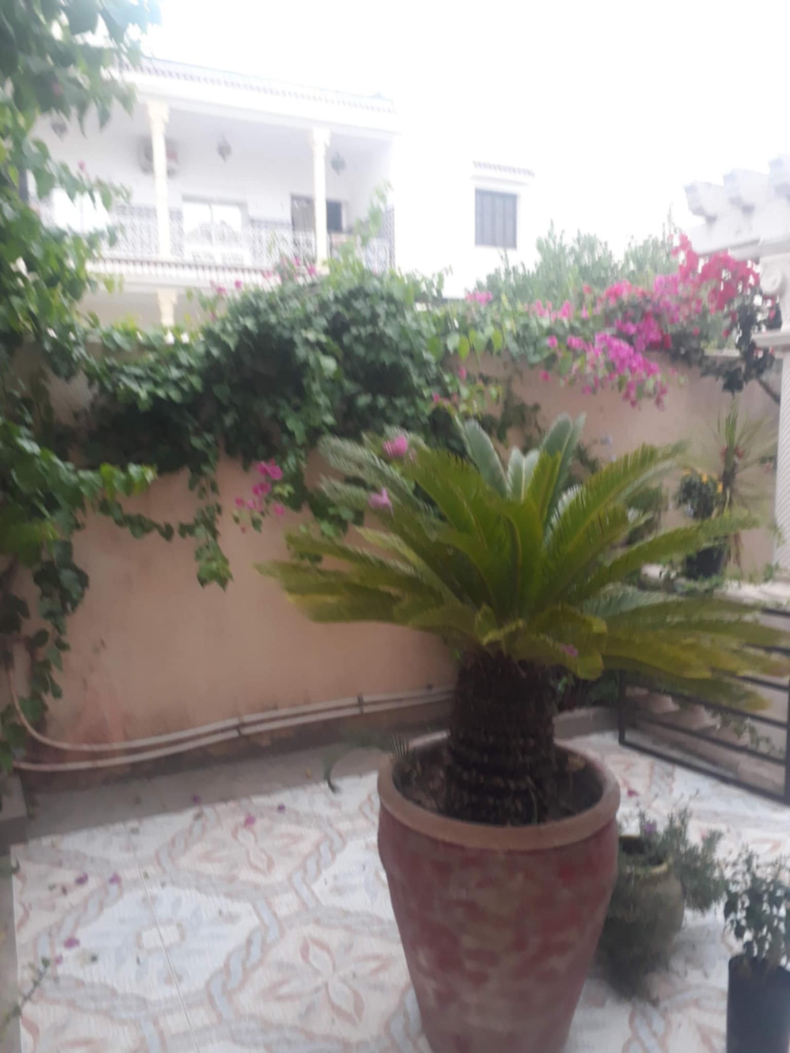 Oued Ellil Oued Ellil Location Maisons Etage de villa rez de chauss