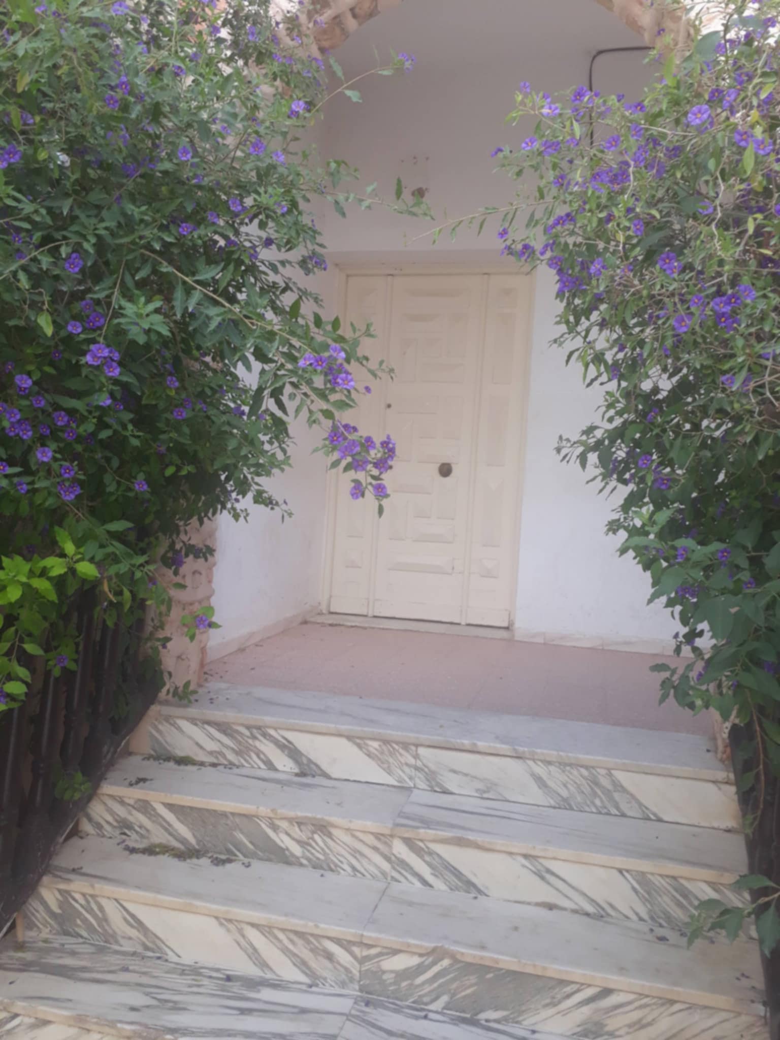 Oued Ellil Oued Ellil Location Maisons Etage de villa rez de chauss