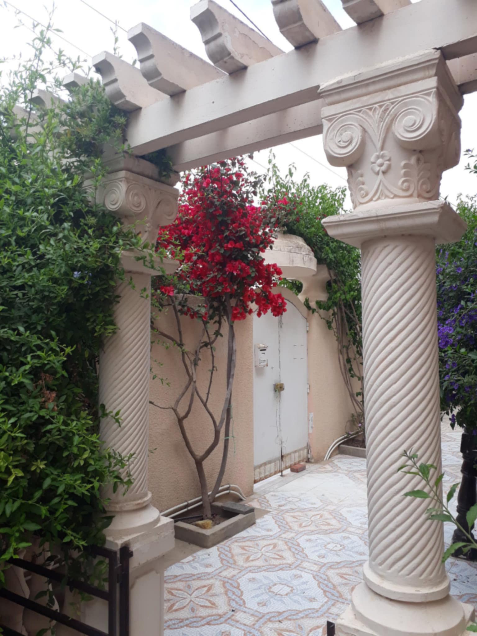 Oued Ellil Oued Ellil Location Maisons Etage de villa rez de chauss