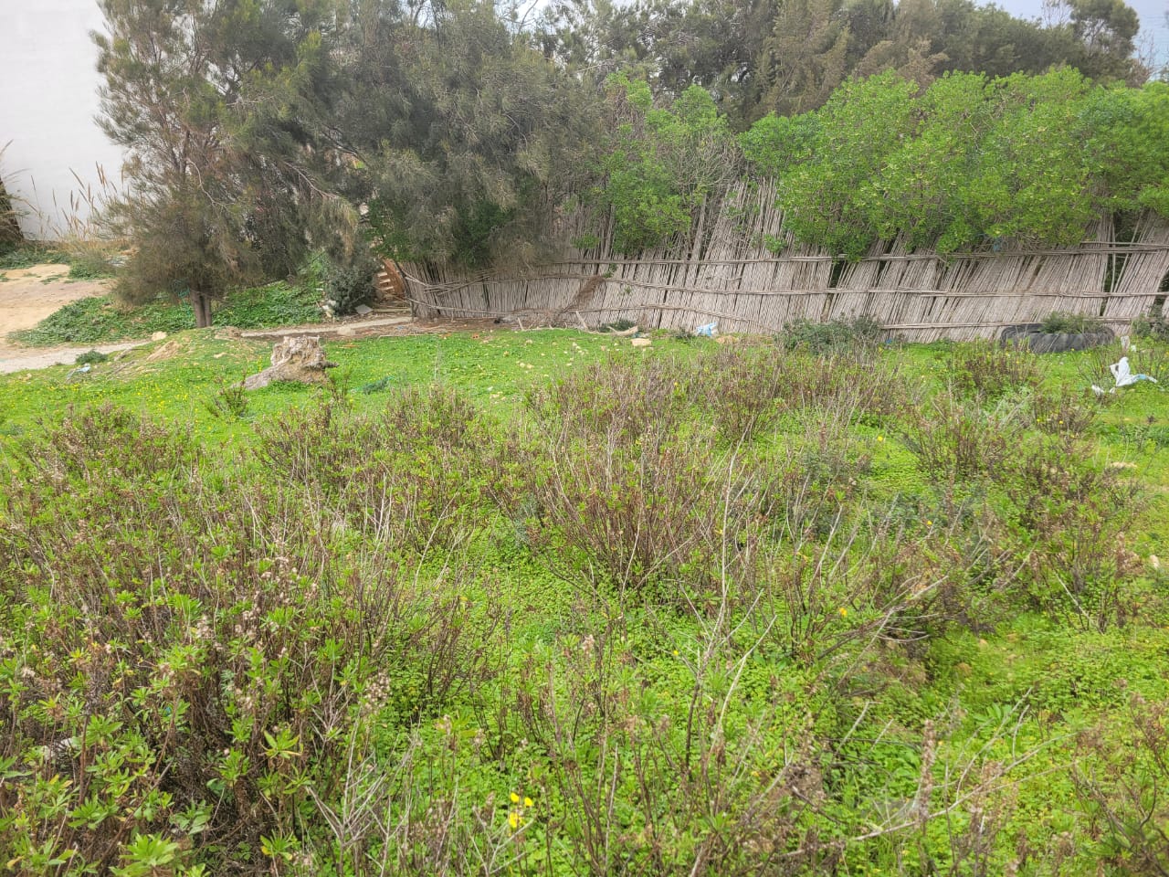 Ras Jebel Rafraf Terrain Terrain agricole Collectifs